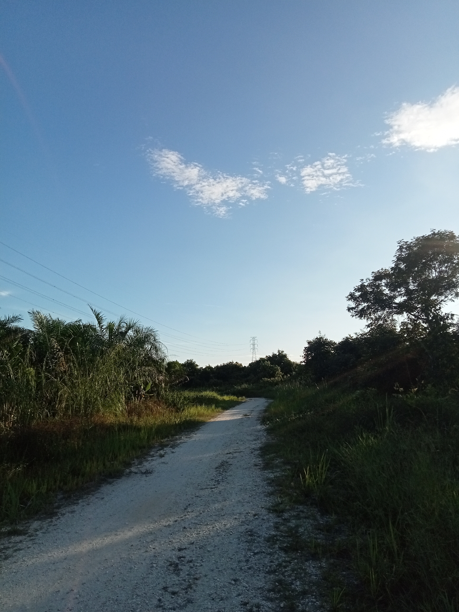 The image depicts a dirt road winding through a rural landscape under a bright blue sky with scattered white clouds. Lush green vegetation, including tall grass and palm trees, lines the sides of the road. In the distance, a transmission tower is visible, along with power lines stretching across the horizon. The lighting suggests it is either early morning or late afternoon, with the sun casting shadows. The scene is devoid of any people or visible signs of human activity other than the road and power lines. The location is specified as Teluk Kenidai, Indonesia, implying a tropical or subtropical environment.
