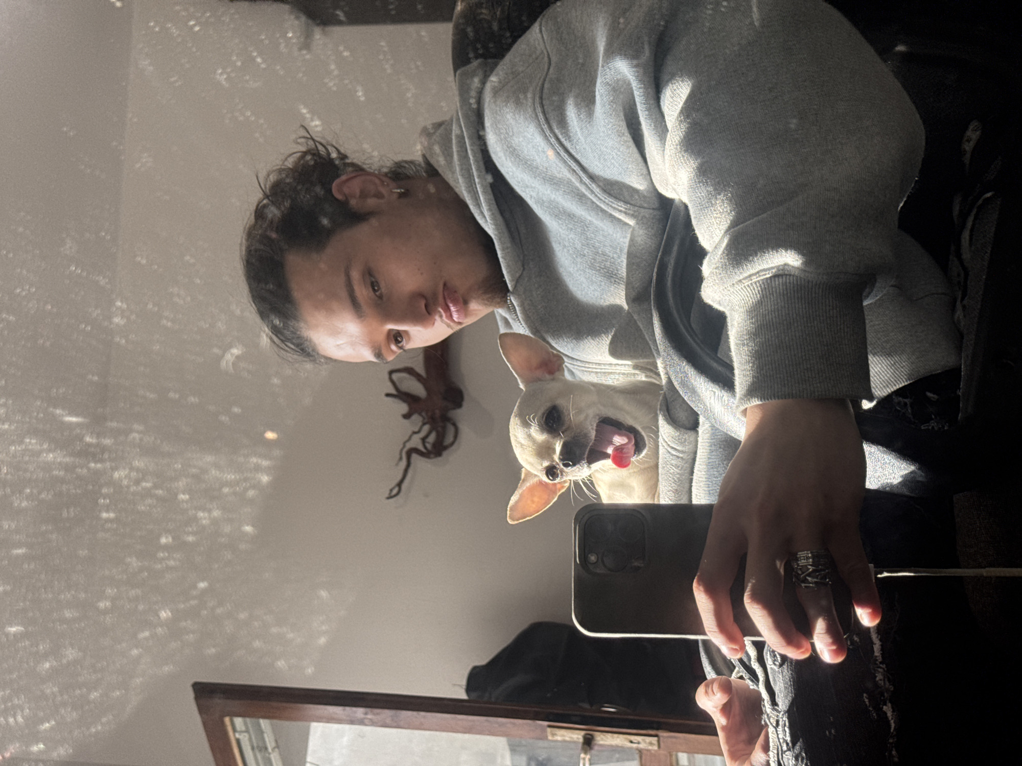 A selfie, likely taken in a mirror, features a light-skinned person with dark hair pulled back, wearing a grey hooded sweatshirt. They are holding a smartphone with multiple lenses in their right hand. A small, light-colored dog with its tongue out is partially visible next to them. On the wall in the background is a dark, decorative octopus-like object. The location is likely indoors; the city of Sofia, Bulgaria is not discernible from the image.