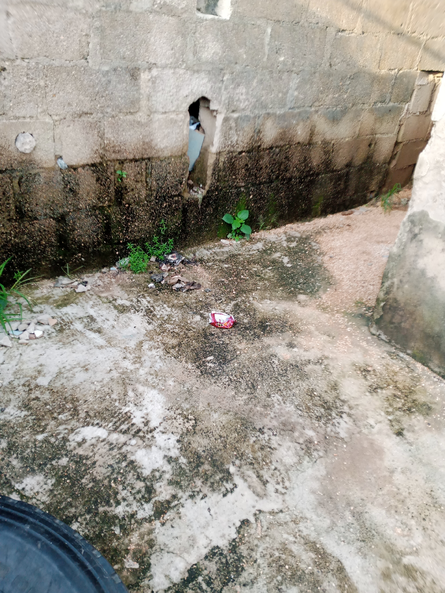 An outdoor scene in Jauro Yinu, Nigeria, shows a cracked, discolored concrete surface adjacent to a cinder block wall. The wall has a dark, stained lower section and a hole in the upper portion. Debris, including small rocks and a crumpled red and white wrapper, is scattered on the ground. Green vegetation sprouts near the wall. The ground surface is textured with areas of lighter and darker patches, suggesting moisture or wear. In the lower left corner, a portion of a black, circular object, possibly a tire, is visible.