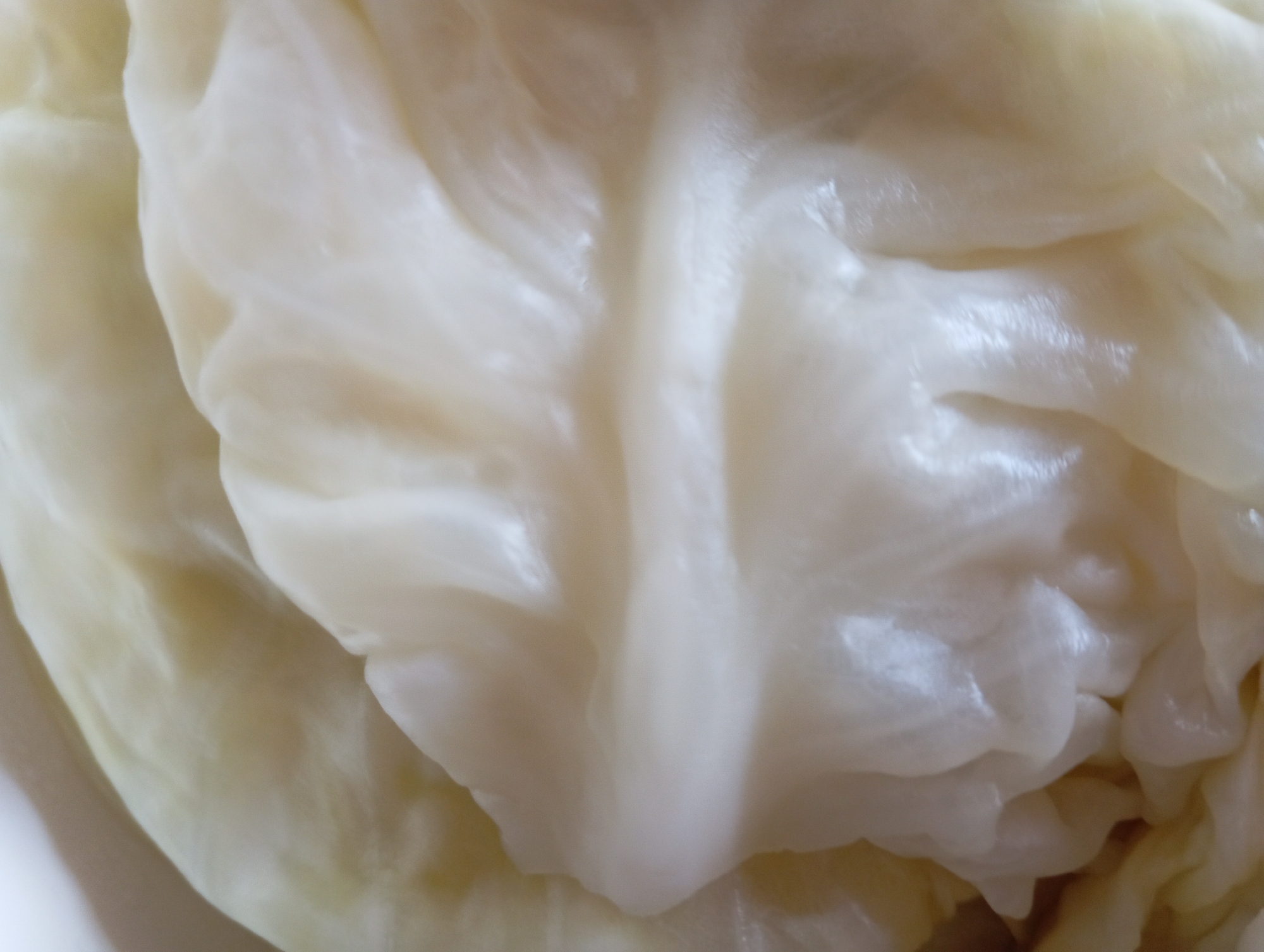 The image shows a close-up, abstract view of layered, pale yellow and white organic material, likely cabbage leaves. The texture is soft and somewhat glossy, with visible veins and folds. There are no discernible features of Hlynytsi, Ukraine, or any human elements in this close-up macro shot.