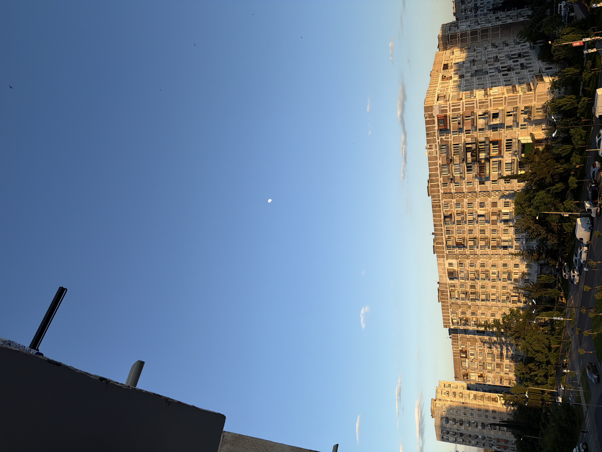 The image shows a view in Tbilisi, Georgia. A clear, blue sky with a small, faint moon is visible. Several birds are flying in the sky. To the right, there are tall apartment buildings, possibly Soviet-era, with numerous windows and balconies. The buildings are partially shaded by trees. Below the buildings, there's a street with cars and possibly pedestrian walkways. In the foreground, a low concrete structure is visible, likely a rooftop or a building ledge. There's a metal object protruding from the concrete structure.