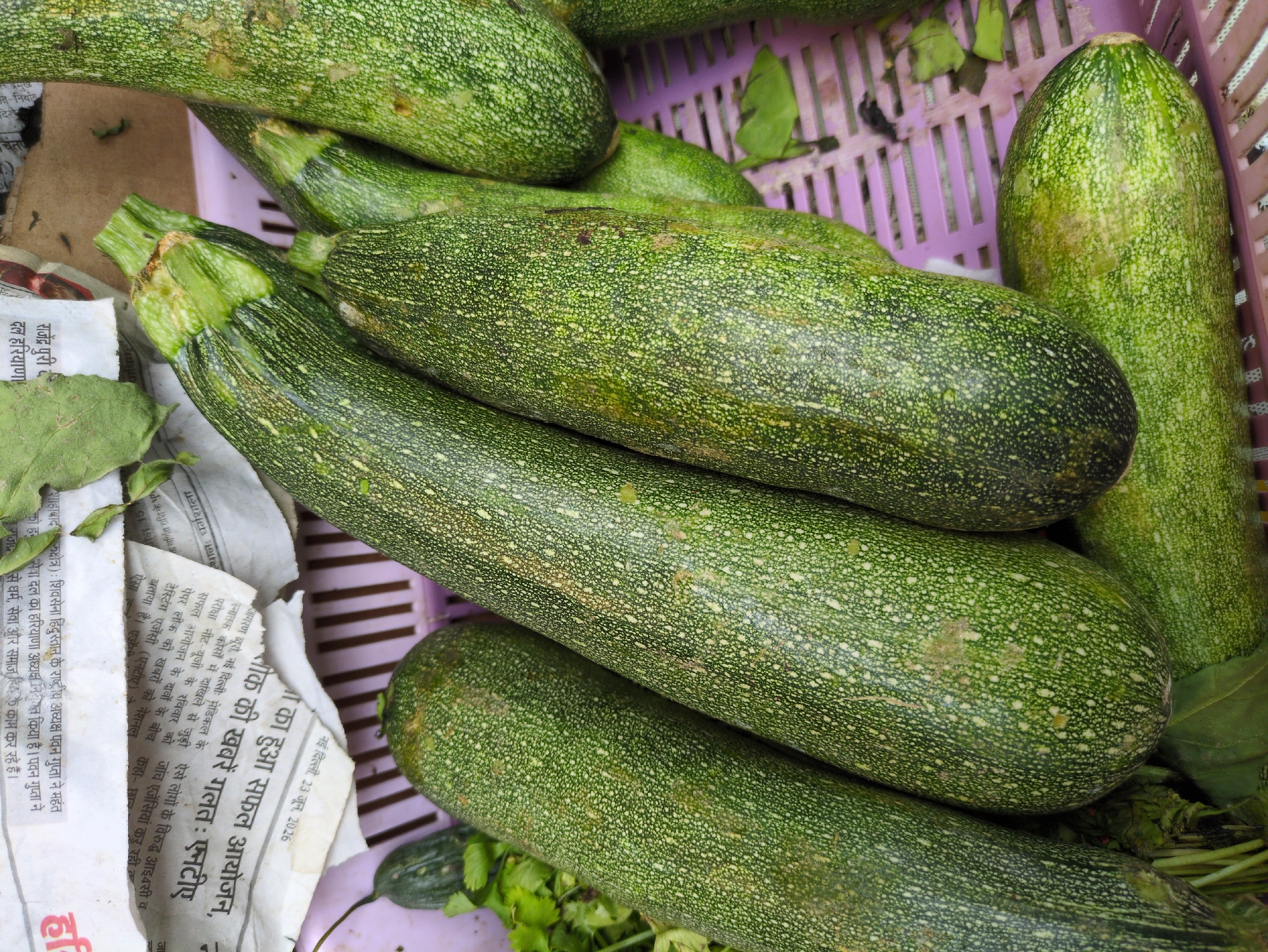 The image depicts a close-up view of several green zucchinis arranged in a purple plastic basket. The zucchinis are cylindrical with a textured, mottled green skin, dotted with lighter green or white speckles. Some of the zucchinis have visible stems. The basket appears to be resting on a surface, and to the left, a few sprigs of green cilantro are visible. In the background, pieces of newspaper are partially visible, with Hindi text printed on them. The lighting suggests an outdoor or well-lit indoor setting. The overall scene is a still life of fresh produce, likely at a market stall. The presence of Hindi text on the newspaper suggests a location within India, and the mention of Dharamshala, India, implies this scene could be taking place in a market or vendor stall within that city.