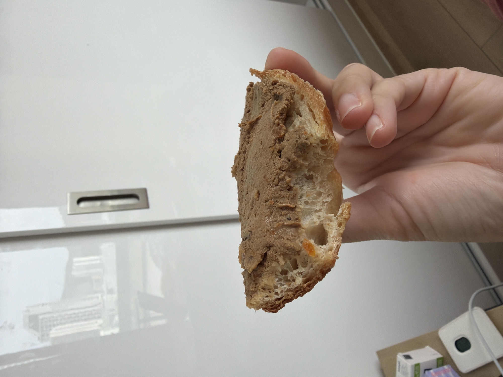 A close-up shot features a person's hand holding a piece of crusty bread generously spread with pâté. The hand, with clearly visible fingernails, grips the bread which has a light brown, somewhat torn crust and an open, airy crumb structure. A thick, brownish-grey pâté covers the exposed surface of the bread.
The background is predominantly a bright, clean white surface, likely a glossy cabinet or wall panel, with a horizontal silver handle or pull visible towards the top left. Reflections on this surface suggest the presence of a desk setup, including what appears to be a computer keyboard and stand. In the bottom right corner, a white electronic device with a dark square insert, several small, indistinctly labeled boxes, and a grey cable are partially visible, resting on a light-colored surface.
The image depicts the simple act of holding food, possibly for consumption as a snack or light meal. The setting is an indoor environment, characterized by modern cabinetry and hints of an electronic workstation, suggesting a contemporary home or office space. The lighting is even, typical of indoor ambient light. No specific time of day, weather conditions, or emotions are discernible. There is no clearly legible text within the frame to provide additional information, and no visual cues directly indicate the specified location of Bac Nha Trang Ward, Vietnam.