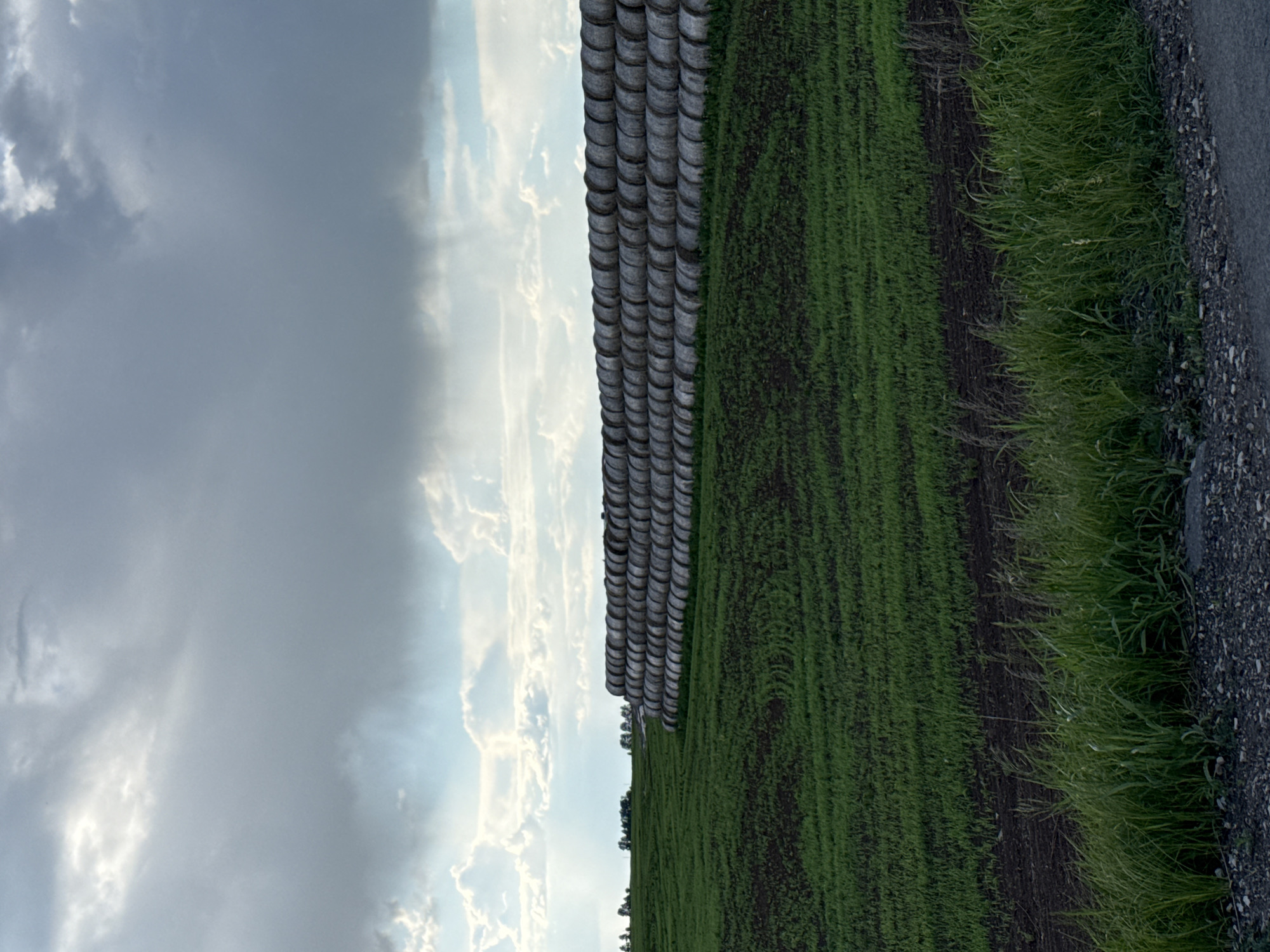 The image depicts a rural landscape. A row of hay bales stretches into the distance, positioned between a green field and a sky filled with clouds. A narrow strip of roadside vegetation and gravel is visible on the far right. The image appears to be rotated. Specific details tying the location to Merinovshchina, Russia are not discernible.