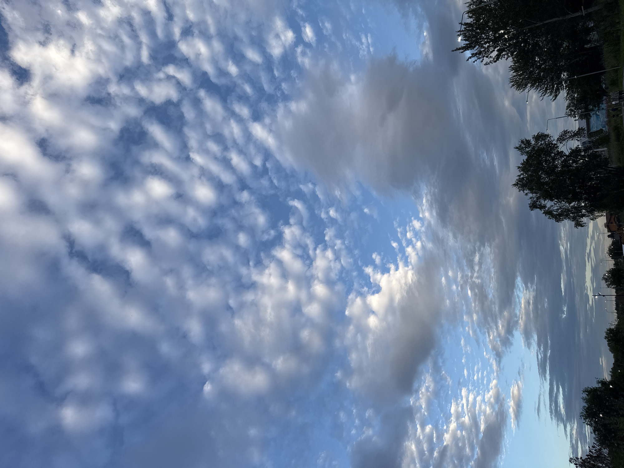The image captures a sky filled with a mixture of small, scattered white clouds and larger, darker cloud formations, set against a bright blue sky. The clouds exhibit a texture that suggests a light breeze, with some appearing wispy and others more consolidated. In the lower portion of the image, the silhouette of trees and distant buildings is visible against the horizon. Streetlights are also present along what appears to be a road or pathway. The overall impression is of an outdoor scene in a semi-urban or suburban area, possibly during the late afternoon or early evening, given the lighting conditions. The location is identified as Yelizovo, Russia. There are a few indistinct figures walking on the path in the lower right section of the image.