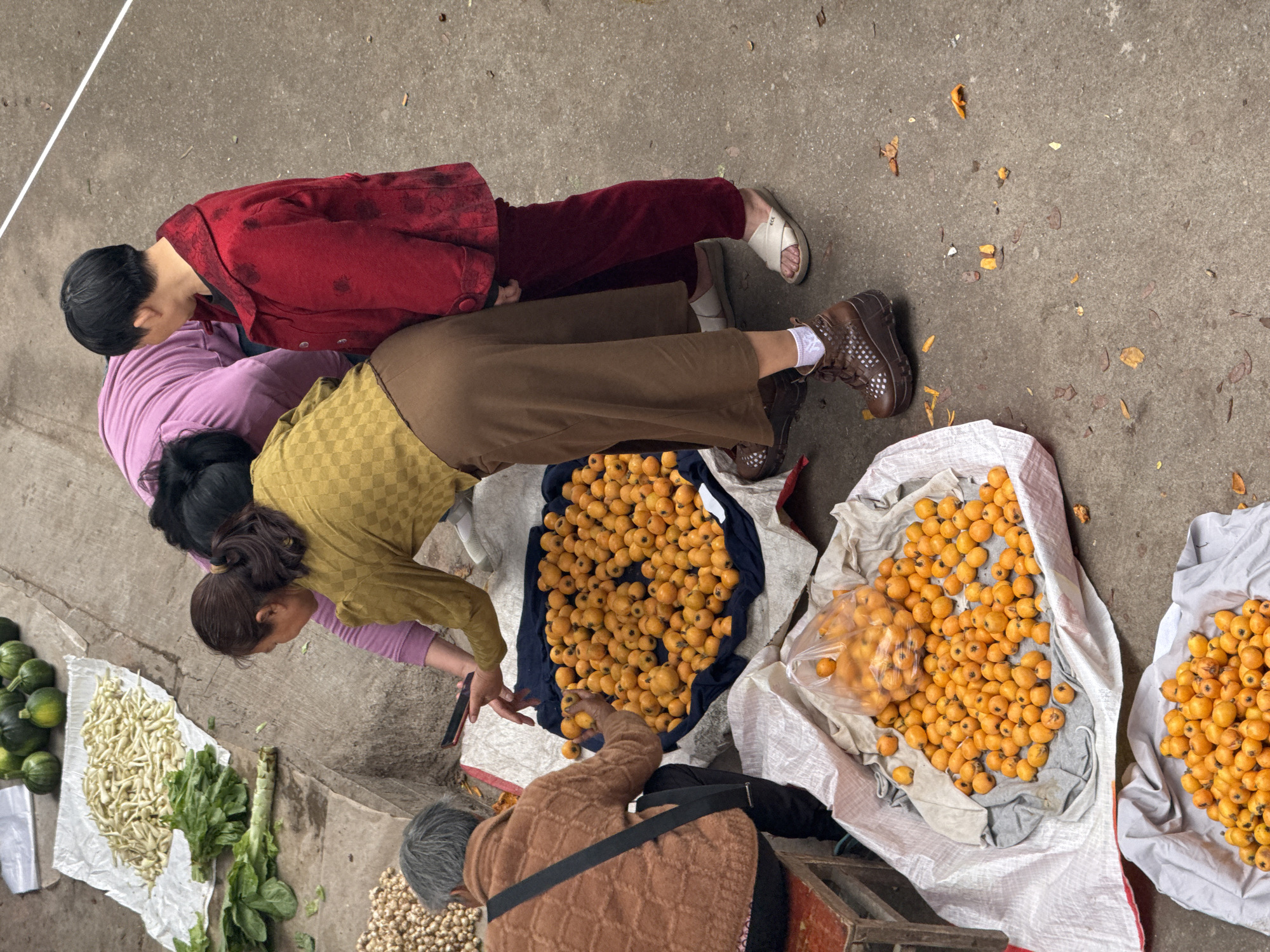 Captured from an elevated, slightly off-center perspective, the photograph displays a bustling scene at what appears to be an outdoor market in Hechuan, China. Four women, dressed in layered clothing suited for a cool day, are the central figures in the frame.
The women, wearing a red jacket, a lavender shirt, and a checkered mustard-colored shirt, along with another brown jacket. They are bent over a collection of goods spread out on the ground.
The goods include green squash, white beans, leafy greens, nuts, and a large quantity of golden loquats in bags. The ground appears to be concrete, and the scene is bathed in natural light. The overall composition and details suggest a market scene, with a focus on the women and the goods they are selling.