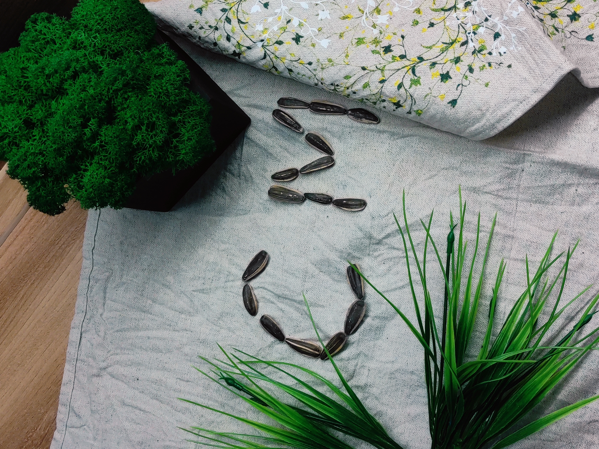 The image shows the letters "ЗСУ" spelled out with sunflower seeds on a light gray fabric surface. To the left is a dark-colored container filled with vibrant green moss. To the right of the "U" is a grouping of artificial green grass blades. Above the "З" is a piece of linen fabric with a floral pattern. A wooden surface is visible to the bottom left. There is no information indicating the location of this image in Chaikovsky, Russia.