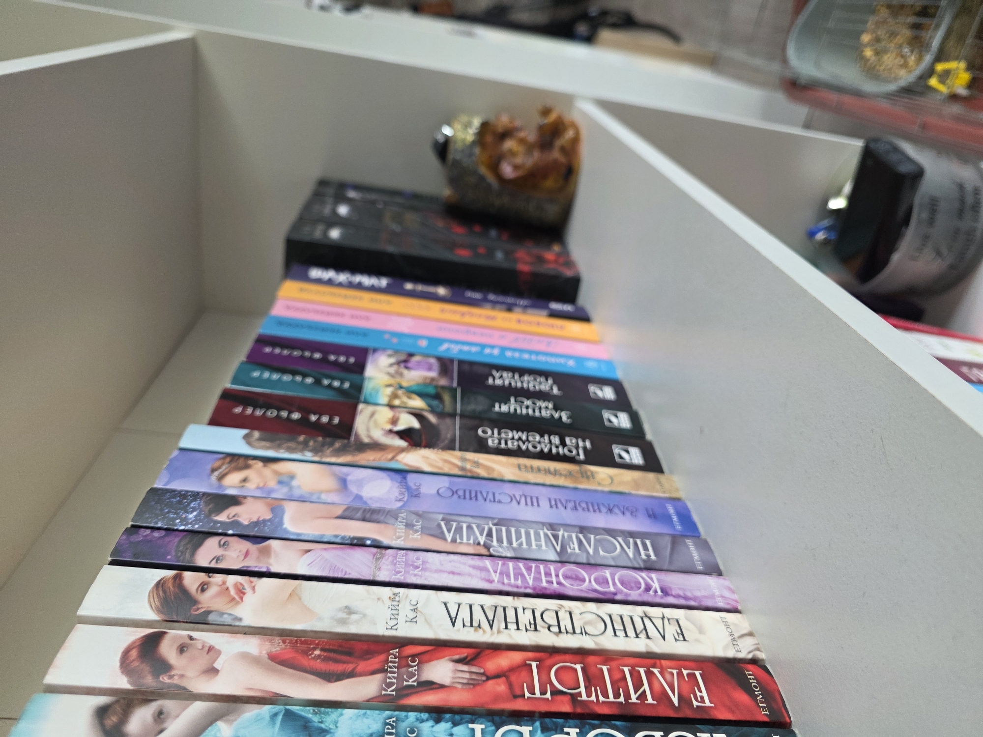 The image shows a collection of books on a shelf. The books are stacked in a row, and their spines are visible. The books appear to be a series, and feature female models on the covers. Above the books on the same shelf are other objects. The location is not discernible as Yagodovo, Bulgaria, or any other specific location based solely on the image.