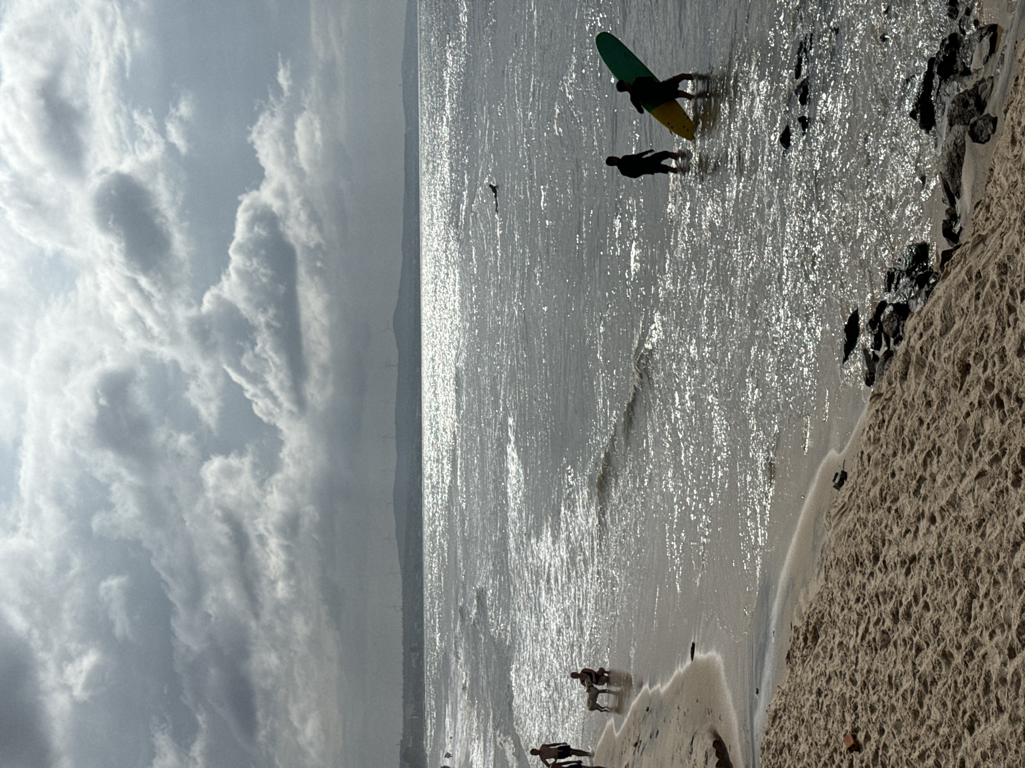 The image depicts a beach scene in Phan Thiết, Vietnam, under a cloudy sky. In the foreground, a sandy beach leads to the ocean. Along the shoreline, several individuals are visible. To the left, two people are standing, and further down, a person is kneeling with a dog beside them. In the middle ground, two figures are wading in the shallow water, one carrying a surfboard. In the distance, a lone figure is swimming or surfing in the sea. The ocean appears choppy, with sunlight glinting off the waves. The background shows a distant shoreline with rolling hills and what appear to be wind turbines, suggesting a coastal area with renewable energy infrastructure. The overall atmosphere is overcast, with dramatic cloud formations.