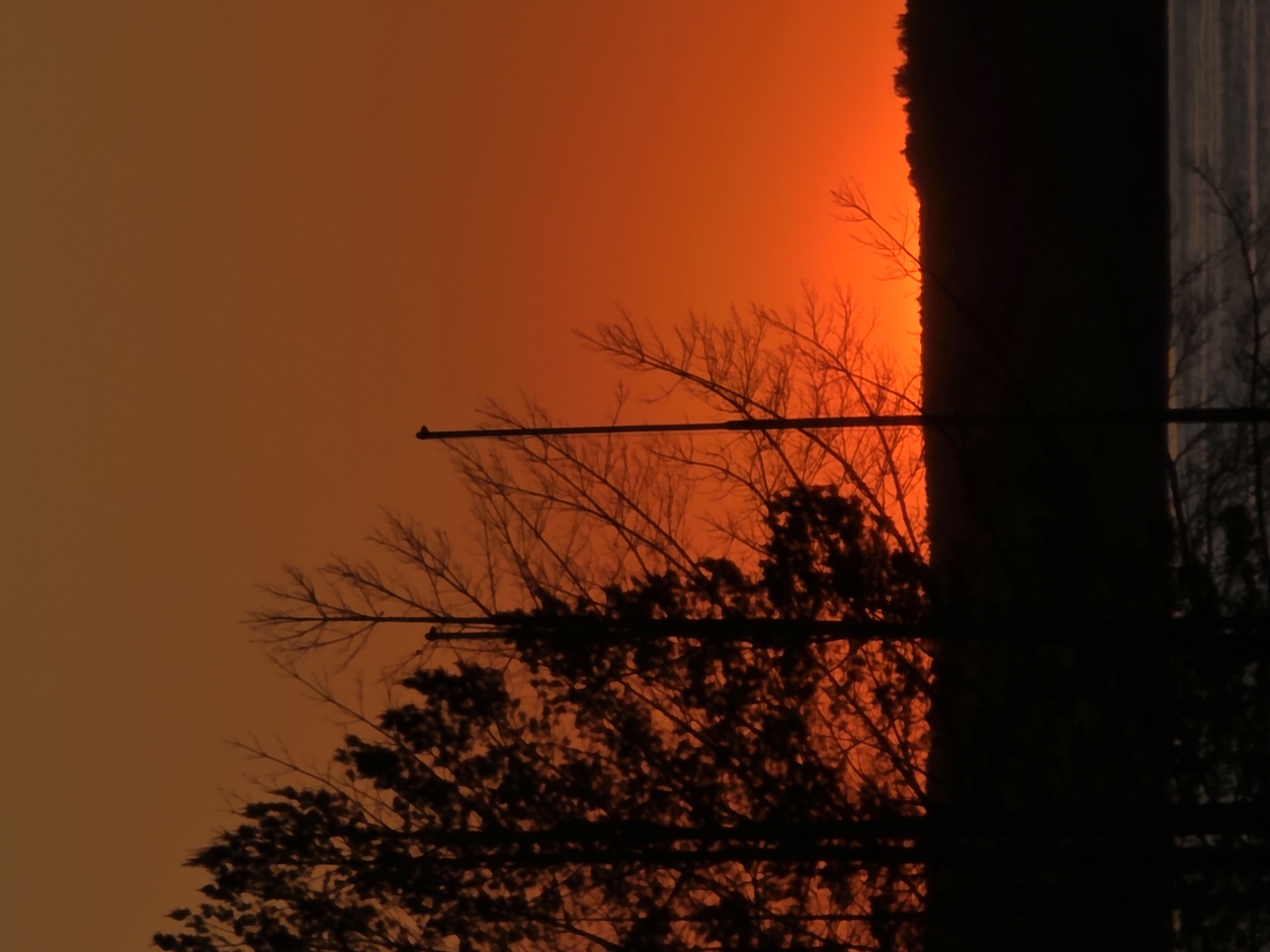 The image, taken in Chaikovsky, Russia, depicts a dark, silhouetted tree line against a sky gradient ranging from orange to deep red. The silhouettes of bare branches and leaves are prominent, with power lines intersecting the scene. The right side of the image is dominated by a dark, vertical shape, likely a building or a dense group of trees, contrasting against a sliver of water body. The overall tone is ominous and evokes a sunset or sunrise during a period of air quality concerns.