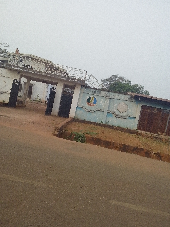 An exterior shot features a gated building with a partially visible house behind it. The gate is dark, with a white-topped archway adorned with fencing. A light-blue wall adjoins the gate, decorated with a circular emblem containing green, red, and blue hues. A small patch of overgrown land sits between the wall and the street. The sky is overcast, contributing to a muted color palette in the scene.