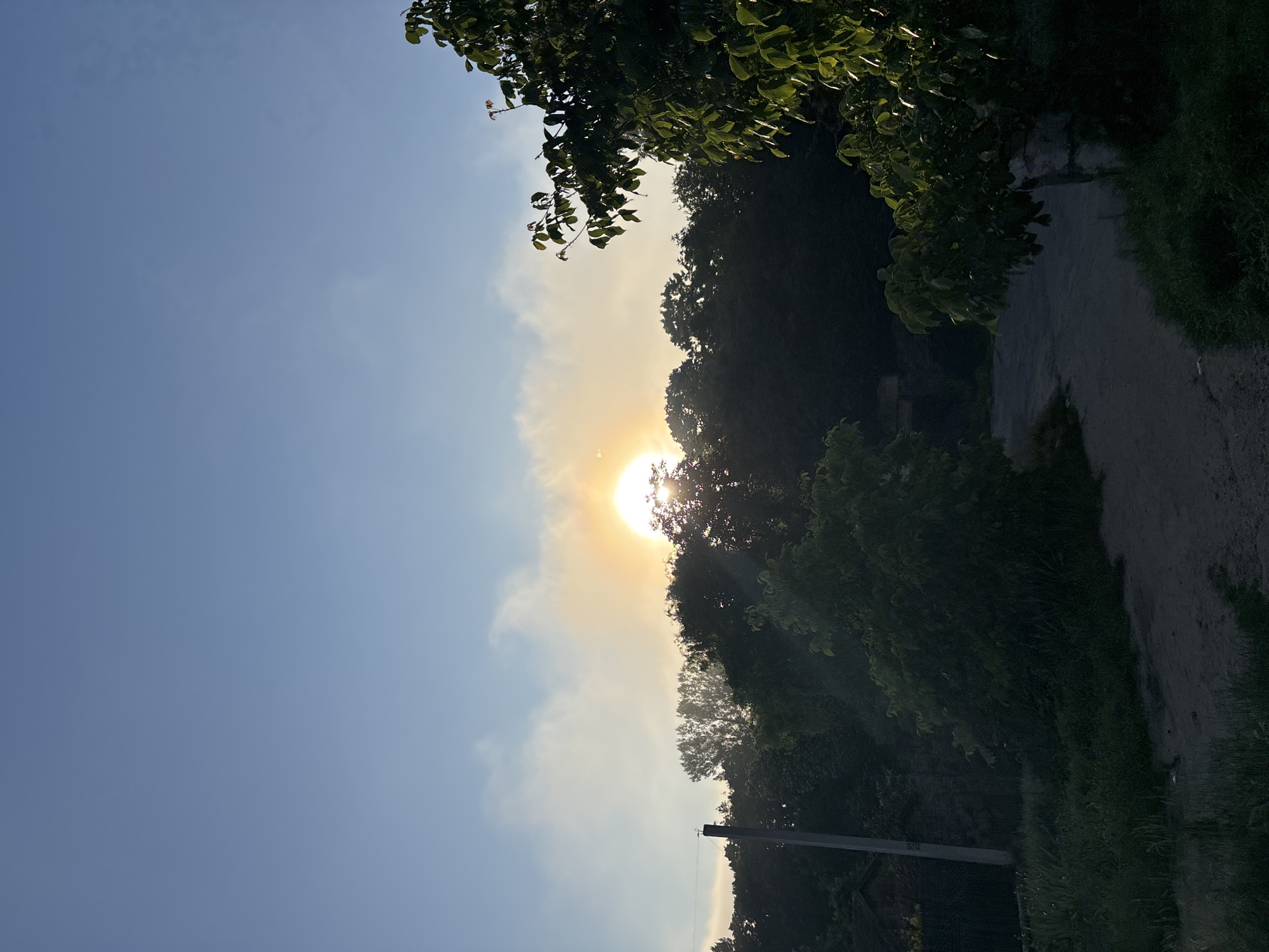 The image depicts a sunset or sunrise over a rural area, possibly on the outskirts of Strășeni, Moldova. A bright, partially obscured sun is visible in the upper center of the frame, casting a warm glow through a band of light clouds. Silhouetted against the bright sky is a dense line of trees. In the foreground, a dirt path or road curves through lush green grass and foliage. To the left of the path, a weathered wooden utility pole stands, with some indistinct structures visible behind it, suggesting a residential or agricultural area. On the right side of the image, a large tree with vibrant green leaves is prominent, its branches reaching towards the sky. The overall scene conveys a serene, natural setting with evidence of human presence in the form of the utility pole and implied structures.