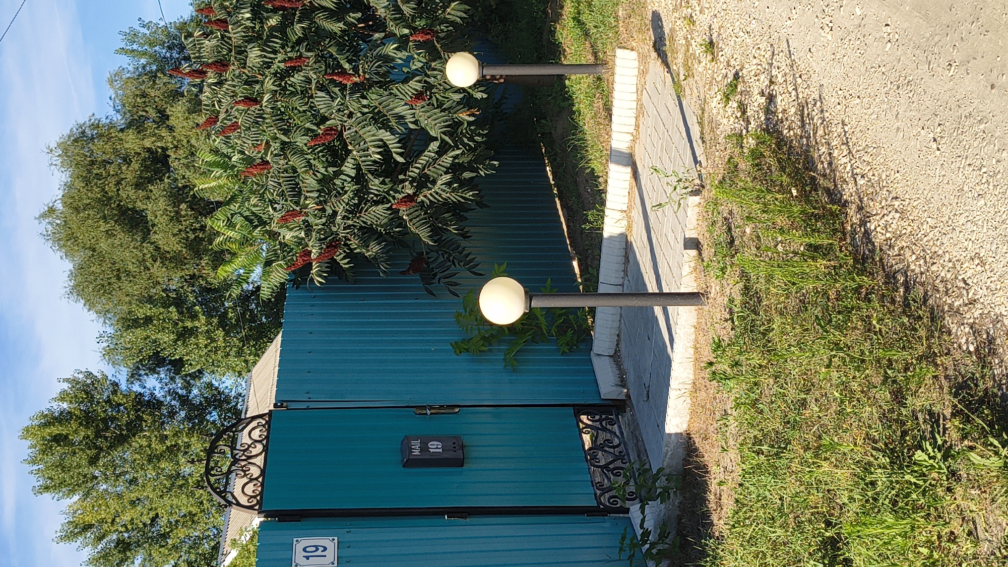 The image depicts a street view in Mikhaylovka, Russia, featuring a teal corrugated metal fence with decorative ironwork on the gate. A house number "19" is visible on a white plaque on the left side of the gate, and a black mailbox with "MAIL 19" also on it is attached to the gate. Two spherical white outdoor lamps on black posts are situated on a paved walkway in front of the fence. Behind the fence, lush green trees, one with red seed pods, are abundant. The ground in the foreground is a mix of dry grass and gravel. The sky is clear blue with a few wispy clouds. The overall scene is one of a residential entrance on a sunny day.