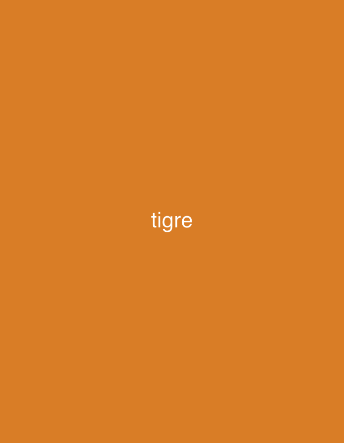 The image displays a plain, uniform orange background. Centered on this background is the word "tigre" written in white, lowercase letters. No other subjects such as people, objects, or a specific scene are visible. There is no activity or event taking place. The image does not provide any visual cues regarding the time of day, weather, or a particular location, other than the textual information of "tigre" on an orange field.