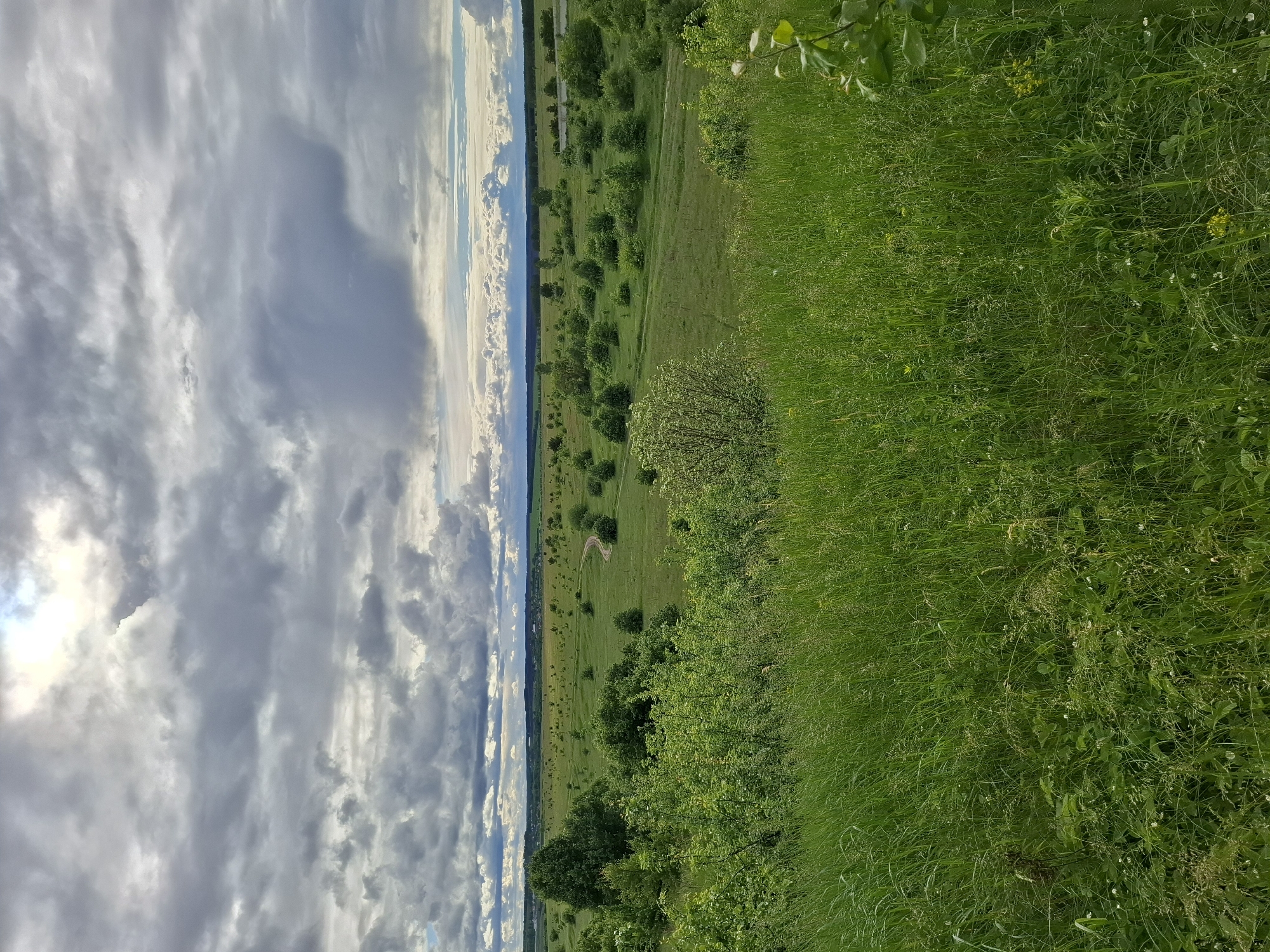The image shows a landscape view taken in Khlevnoye, Russia. The left side of the frame features a cloudy sky with visible sunlight filtering through the clouds. The right side of the frame is dominated by a grassy area with varying heights and types of green vegetation. A field or meadow stretches out towards the horizon, dotted with occasional trees and shrubs. A dirt track or path is visible winding through the field. The horizon line is marked by a dark green band of trees. The photograph appears to be taken from an elevated position.