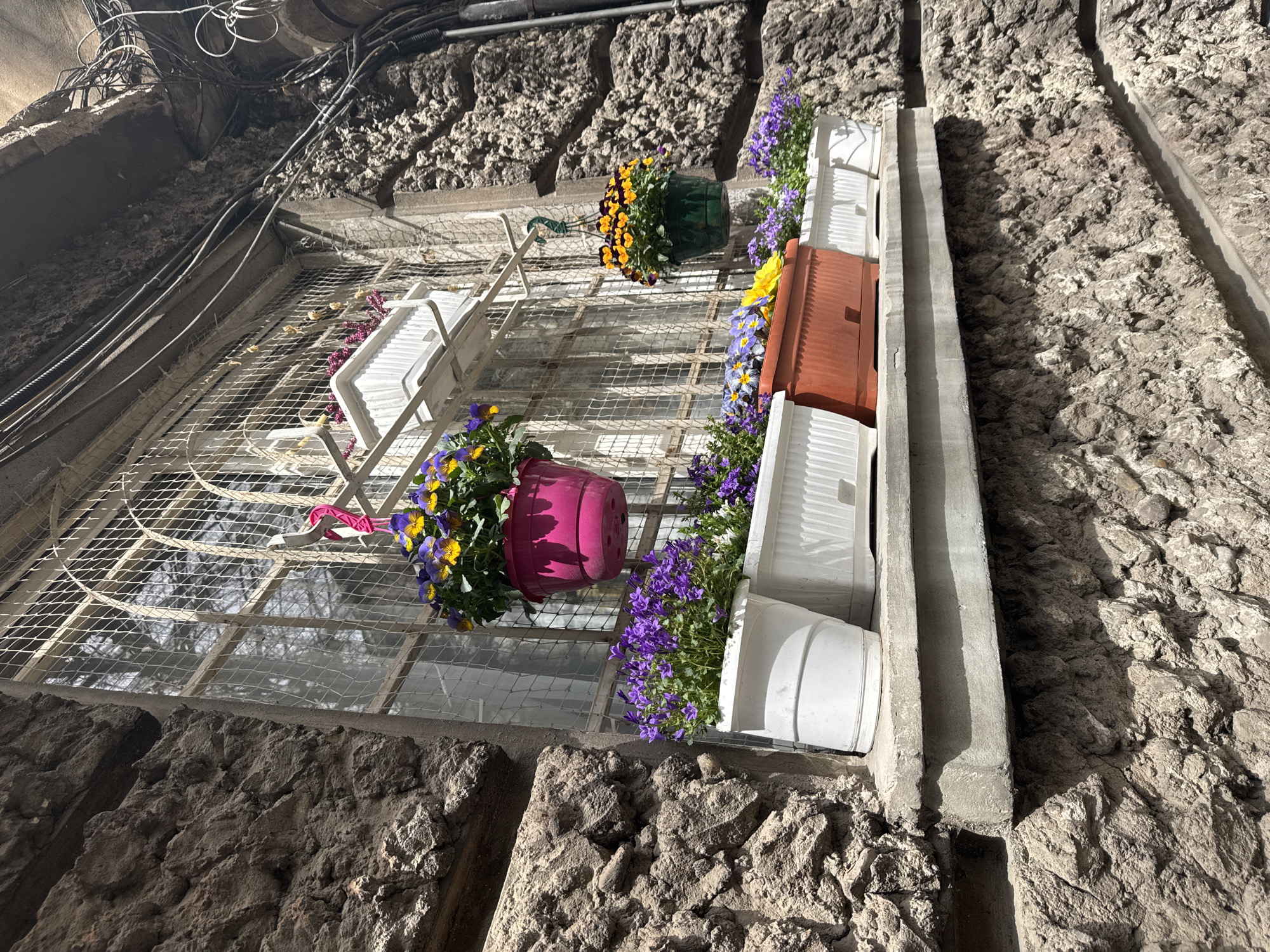A low-angle shot depicts a building exterior in Sofia, Bulgaria. A window with a wire mesh guard is visible, adorned with several flower pots. A pink pot with yellow and blue flowers is on the left, while a green pot with orange flowers is near the center. To the right, an arrangement of white and brown planters is filled with blue and yellow flowers. The building's facade is textured with rough stone. Electrical wires are visible near the top of the frame.