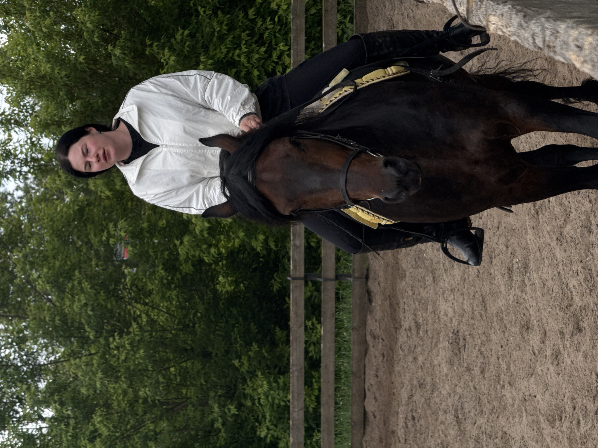 A young woman with dark hair and a white jacket is riding a dark brown horse. She is in an outdoor arena with a sand floor, surrounded by a wooden fence. Trees are visible in the background, suggesting a park or rural setting. The location cannot be determined based on the image.