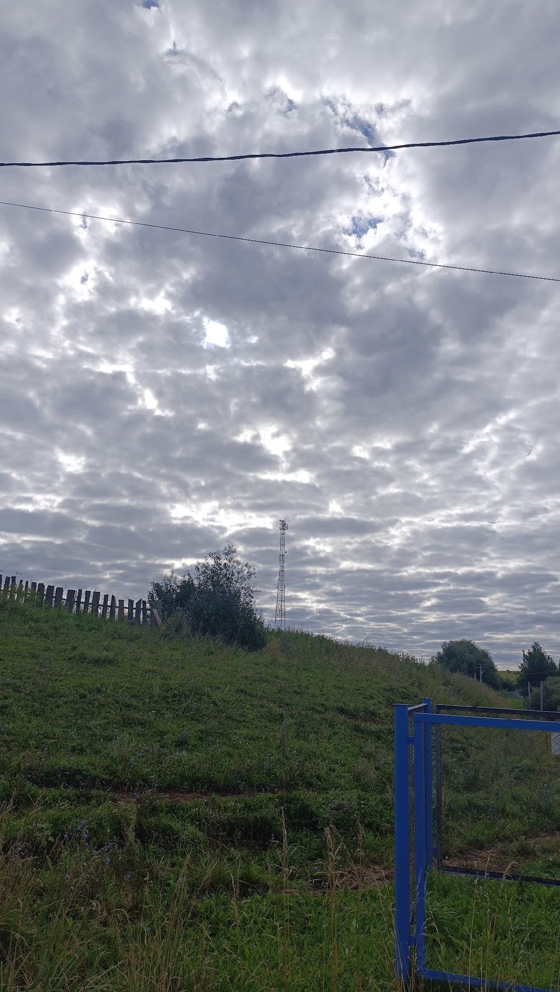 The image depicts an outdoor scene under a cloudy sky. In the foreground, a grassy slope is visible, partially obscured by tall grass and some small blue flowers. A section of a blue metal gate or fence is present on the right side of the frame.
Further up the slope, there is a dilapidated wooden fence. To the right of the fence and slightly behind it, a tall, slender metal tower stands. A dense bush is located between the wooden fence and the metal tower. The sky above is filled with numerous grey and white clouds, with some patches of blue sky showing through. Two dark horizontal lines, likely power lines, are stretched across the upper portion of the image.
The specific location in the city of Karsha, Russia is not discernible from the visual information provided in the image.