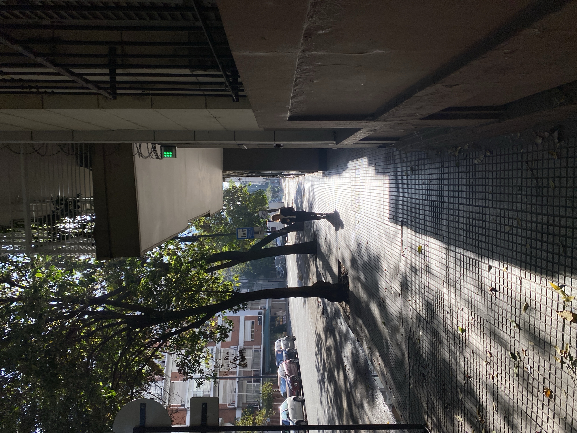 View of a tiled sidewalk in Buenos Aires, Argentina, lined with trees, buildings, and parked cars. A person walks along the sidewalk. Tree shadows and fallen leaves are visible on the ground. A green traffic signal is attached to a building.
