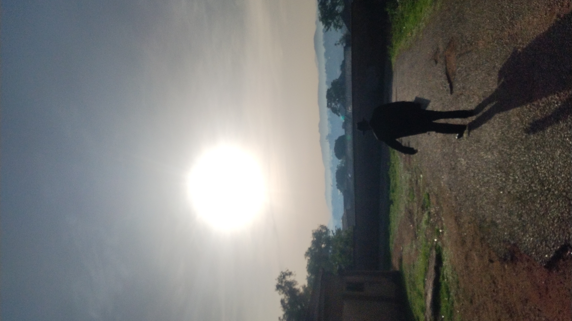 The image, oriented vertically, depicts an outdoor scene dominated by a bright, low sun on the left side, indicating either sunrise or sunset. A silhouetted figure of a person is walking on a paved or gravel path towards the right side of the frame. The person casts a very long shadow that stretches significantly across the path in front of them.
In the background, a series of hazy, blue-tinged hills or mountains are visible, extending across the horizon. A dark wall or structure runs horizontally through the mid-ground, with scattered trees both in front of and behind it. The sky, especially around the sun, appears bright and washed out due to the glare, transitioning to a softer grey-blue further away from the sun. The ground is a mix of brown earth and patches of green grass along the edges of the path. No discernible text is visible in the image.