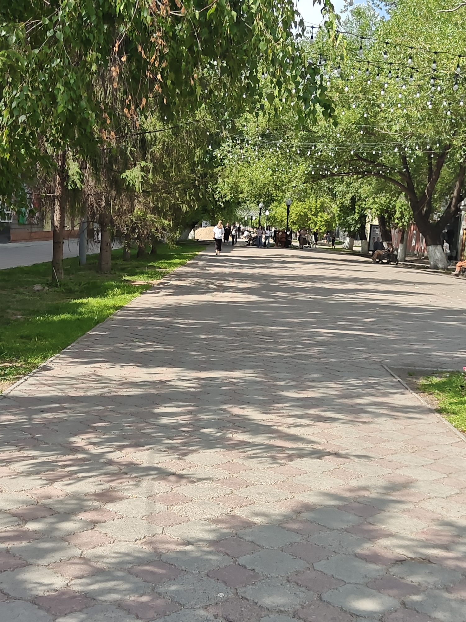 The image depicts a pedestrian walkway in a city park, likely in Petropavl, Kazakhstan. The walkway is paved with rectangular blocks of reddish-brown and light grey stone, forming a patterned surface. Lush green trees with dense foliage line both sides of the walkway, casting dappled shadows on the ground. Strings of decorative white lights are strung between the trees overhead, suggesting the area is intended for evening use or events. Several people are visible walking or standing along the path, some appearing to be engaged in conversation. A few individuals are seated, and one person appears to be in a wheelchair, indicating accessibility. The overall environment is one of a well-maintained urban park, with a serene and pleasant atmosphere.