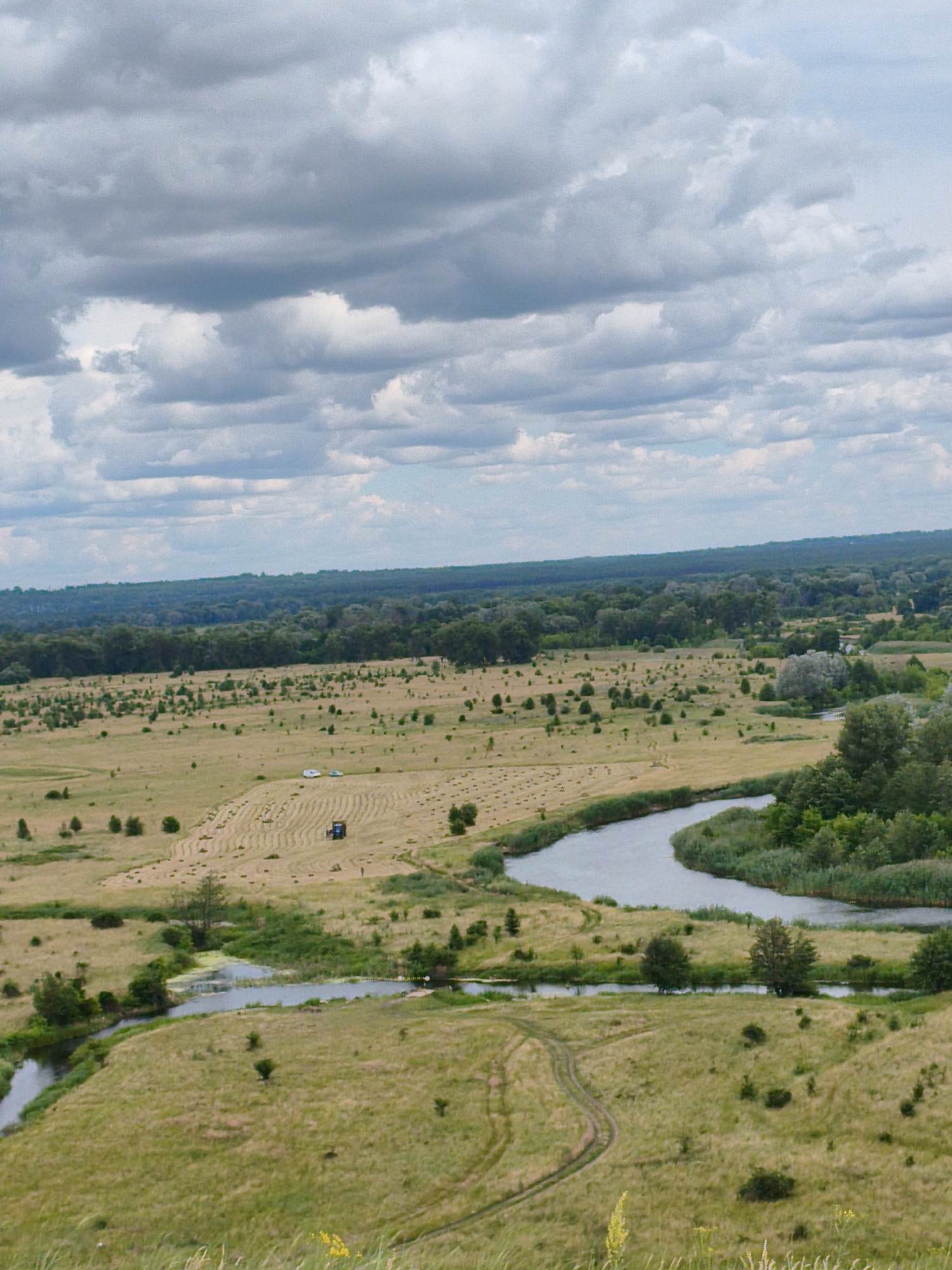 This media file depicts a panoramic, high-angle view of a rural Ukrainian landscape under a cloudy sky. The scene is dominated by rolling hills covered in green and golden grasses, with a winding river flowing through the valley. In the middle ground, a vast, harvested field displays a pattern of mown hay, with a blue tractor visible working amongst the hay bales. There are also a few small trees and bushes scattered across the landscape. Further in the distance, a dense line of dark green trees forms the horizon, suggesting a forest or woodland area. The sky is filled with dramatic, grey clouds, indicating an overcast or potentially stormy day. The overall impression is one of serene, agricultural countryside. No visible text is present in the image.