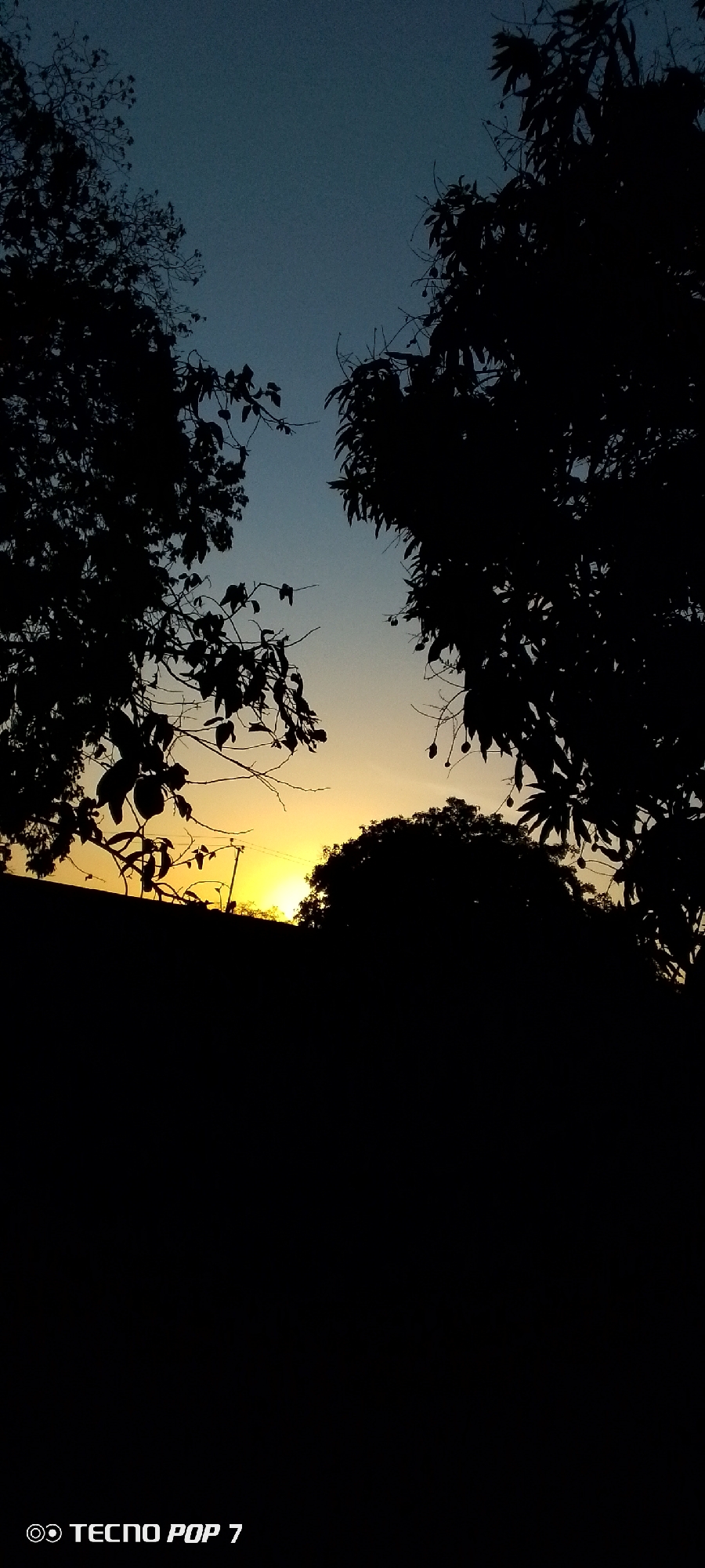 The image depicts a sunset scene in Altagracia, Venezuela. The foreground is mostly dark, suggesting it's taken from a low angle or obscured by an object close to the camera. Above this, silhouetted tree branches and leaves frame the view. A bright yellow sun is visible near the horizon, partially obscured by what appears to be a hill or another tree. The sky transitions from blue at the top to yellow/orange near the horizon where the sun sets. "TECNO POP 7" text is visible at the very bottom of the frame.
