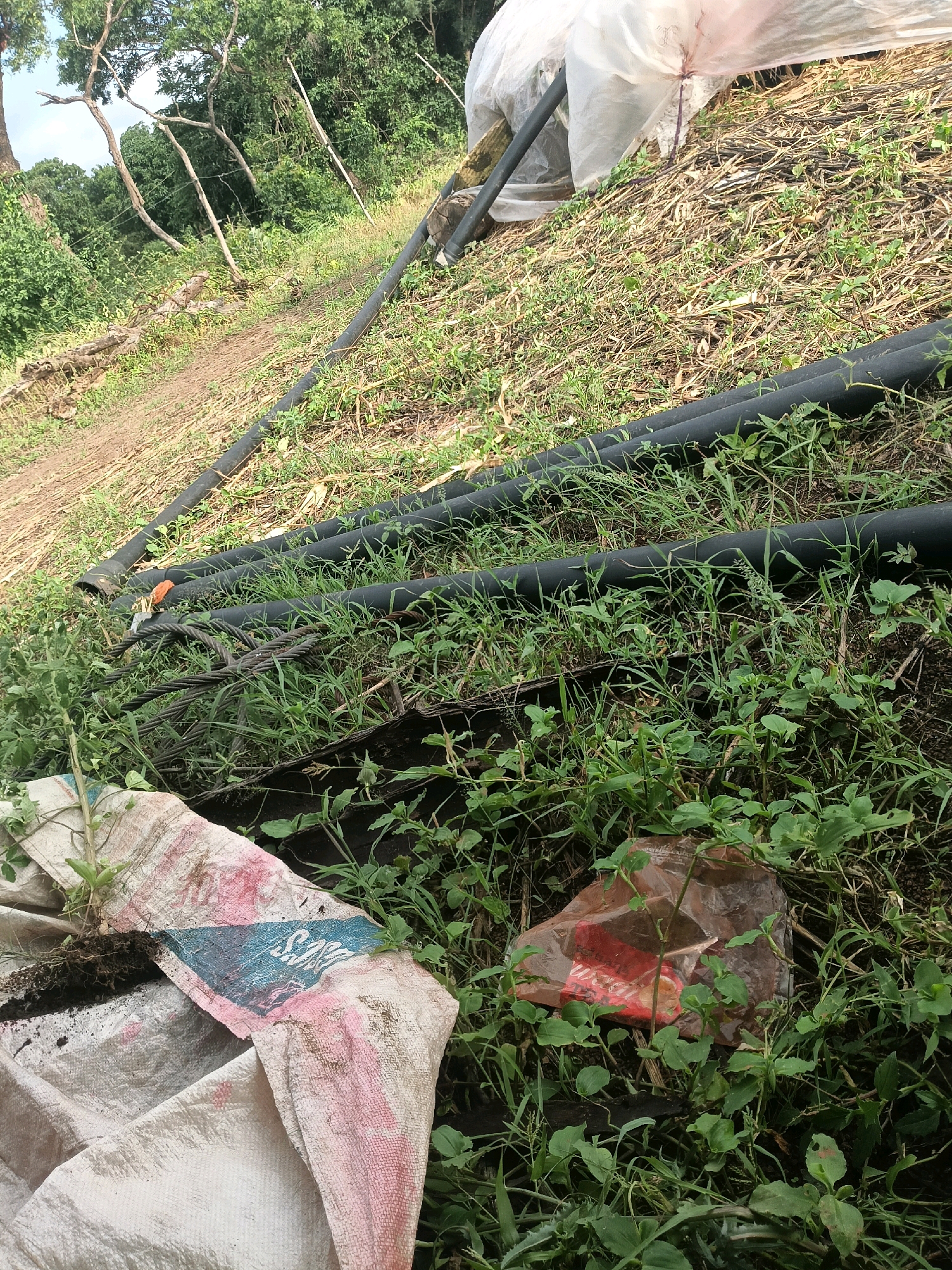 An outdoor scene depicts a grassy slope with several black pipes lying horizontally across it. In the foreground, a white and pink woven bag is partially visible, and a clear plastic bag containing red items sits amidst the grass. Further up the slope, a white tarp is draped over some material. Trees and foliage are visible in the background, suggesting a natural or rural environment. The ground appears to be a mix of soil and dry vegetation.