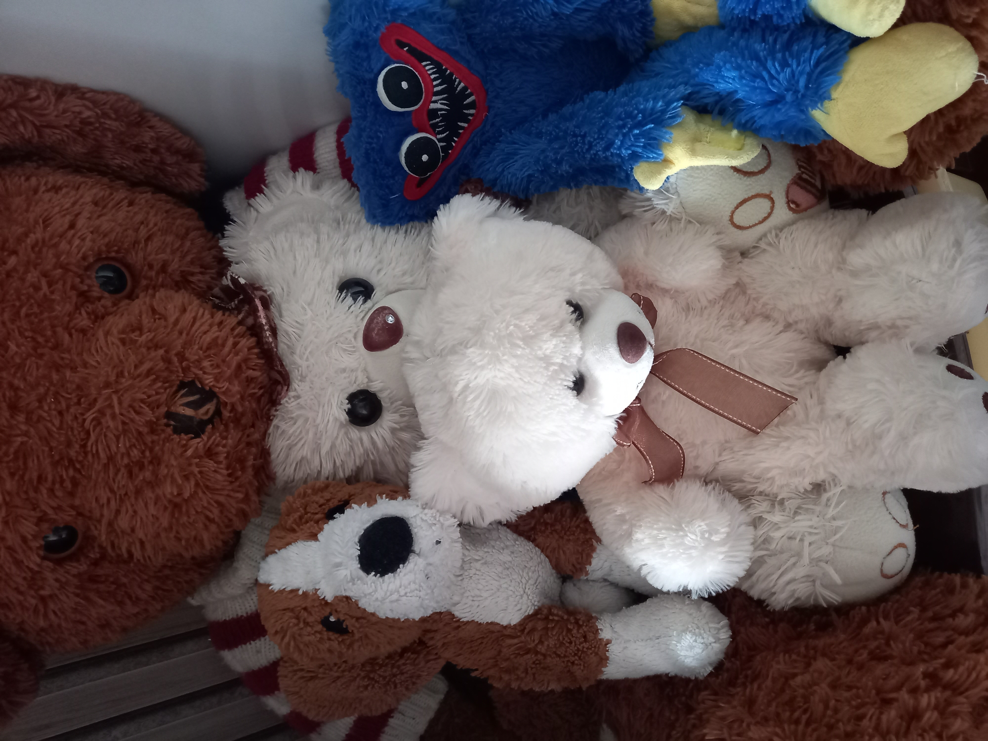 The image shows a pile of stuffed animals, primarily bears, with a blue creature toy with a gaping mouth on top. There is a brown teddy bear, a white bear with a brown ribbon, and a brown and white dog plush. They are possibly inside a storage container. The location is Unknown, Unknown.