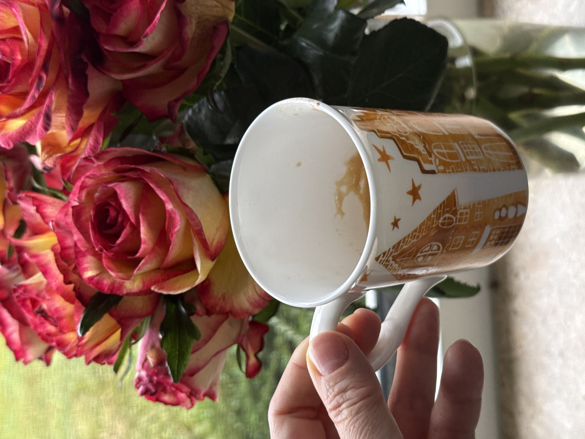 A person's hand holds a white mug decorated with gingerbread house designs, its interior containing a small amount of coffee residue. The mug is positioned in front of a bouquet of roses, which are predominantly red and yellow, with some green foliage. The background appears to be a window with a blurred green outdoor scene, possibly indicating a garden or natural landscape. The scene is indoors, on a windowsill or table, with the overall impression being that of a quiet moment at home. The location is the city of Bad Sachsa, Germany.