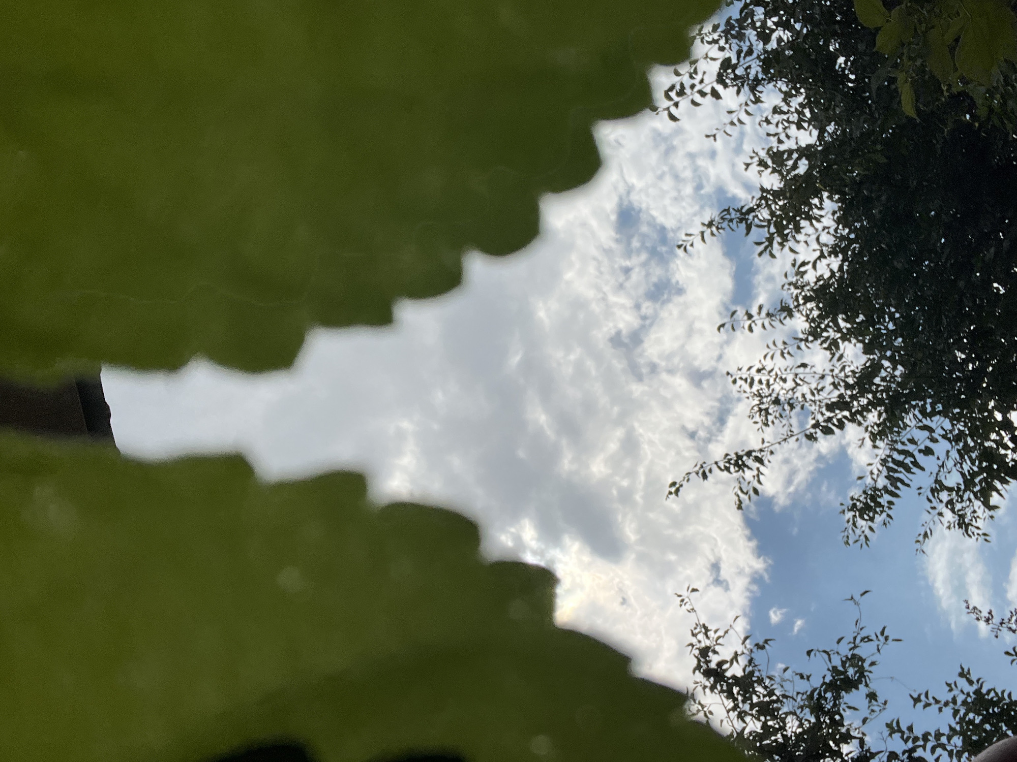 The image is a low-angle view looking upwards towards the sky, framed by large, bright green, wavy-edged leaves or petals in the foreground. The leaves are out of focus, suggesting a shallow depth of field. Through the gap created by these green elements, a cloudy sky is visible. Scattered white clouds are set against a blue sky, with some areas of brighter sunlight peeking through the clouds. Below the sky, the dark green foliage of trees fills the lower portion of the frame, silhouetted against the sky. The overall impression is of a natural scene, possibly a garden or park. The location in Saratov, Russia is not discernible from the visual content of the image.