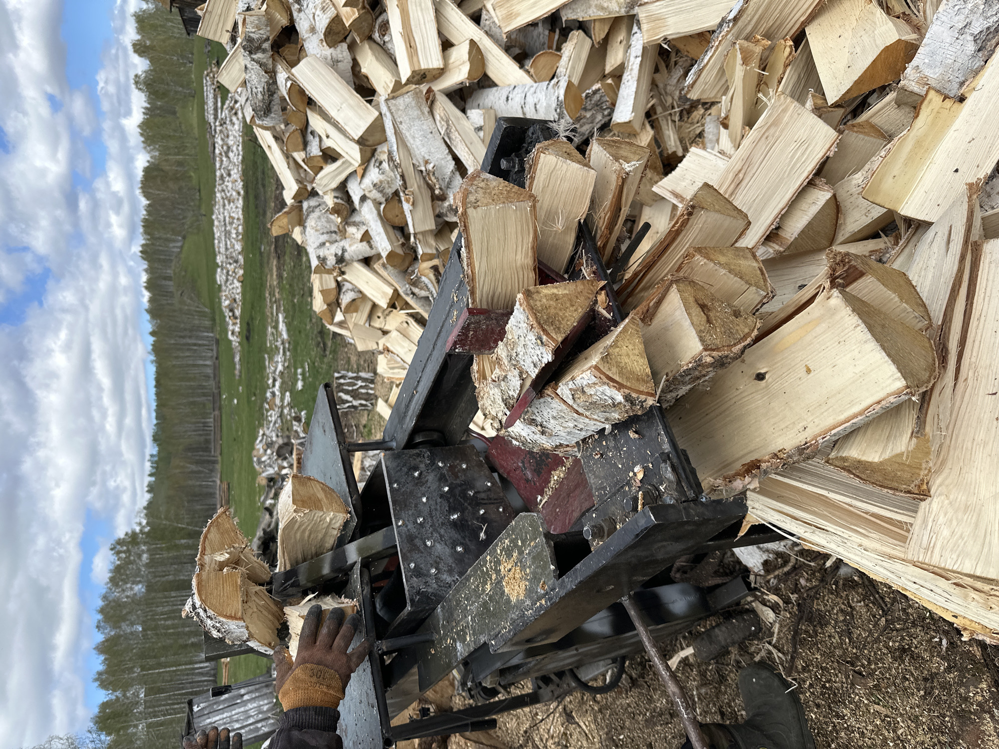 A worker in brown gloves operates a black metal firewood splitter in a rural area. The splitter is surrounded by split birch firewood. A pile of firewood is in the background. Beyond the pile of firewood, a grassy field stretches towards a line of trees, and a blue sky with white clouds is visible. The location appears to be outside, during daylight.