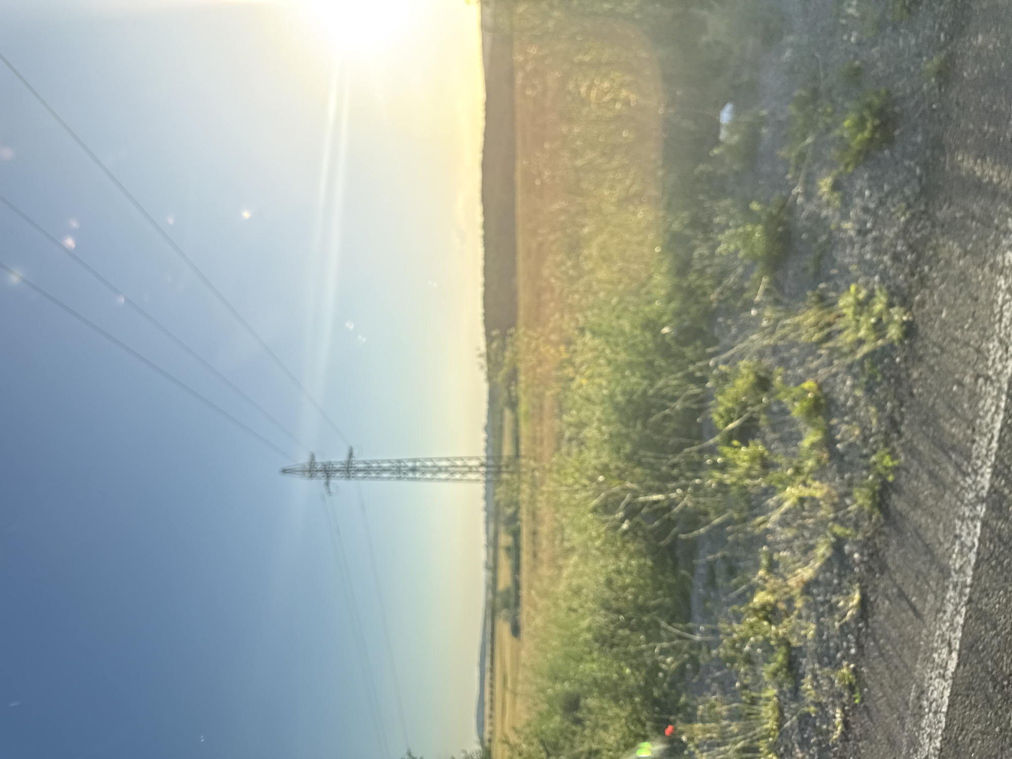 The image depicts a rural landscape bathed in the golden light of a setting or rising sun. In the foreground, a rough, textured surface, likely a road or path, runs diagonally across the bottom of the frame. To the left and center of the foreground, there is dense, green vegetation with tall, thin stalks and scattered small white flowers, along with a single red poppy.
Dominating the midground and stretching towards the horizon is a vast, dry field, likely agricultural, with a warm, golden-brown hue. In the distance, a single, tall, lattice-like electricity pylon stands prominently against the clear blue sky. Several high-voltage power lines extend from the pylon and disappear towards the right of the frame. The sky is a clear, bright blue, transitioning to a bright, washed-out yellow and white on the right side, indicating the intense glare of the sun. The overall scene suggests an open, natural environment, possibly on the outskirts or surrounding countryside of Tvarditsa, Bulgaria. There are no people or animals visible in the image.