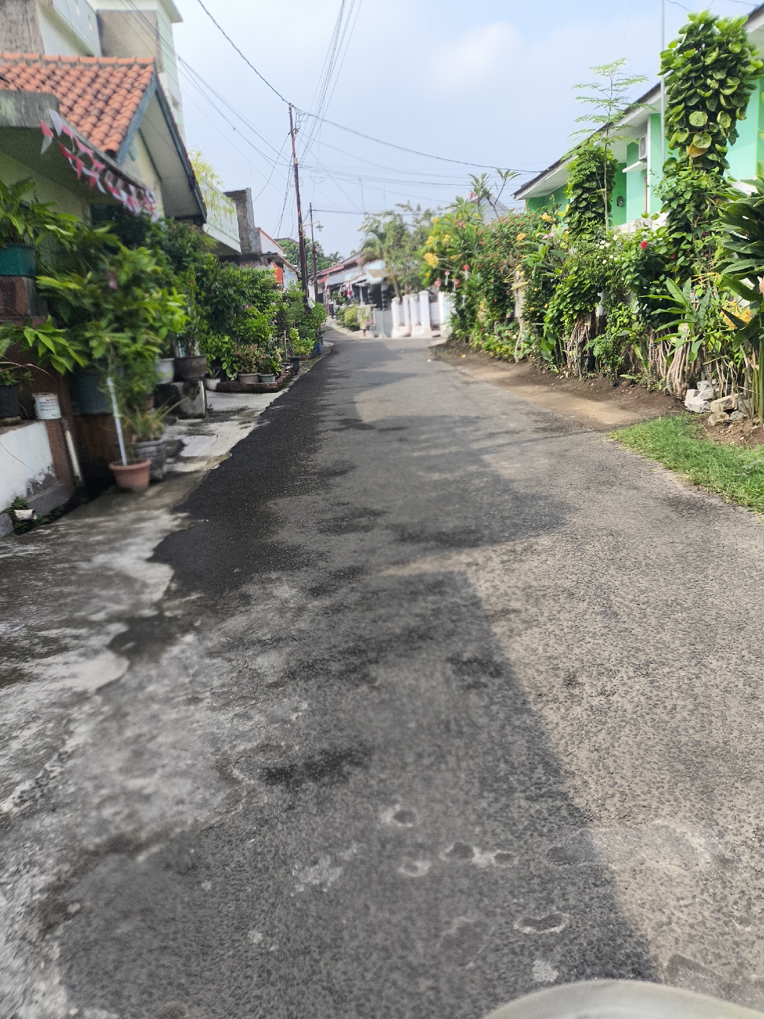 The image shows a narrow, paved street in a residential area of Cilegon, Indonesia. The street is flanked by houses and lush vegetation. On the left side of the street, a house with a red tile roof is visible, adorned with small red and white flags, suggesting a national celebration or event. Potted plants are arranged along the walkway in front of the house. The right side of the street features a bright green house, also heavily covered in green foliage. The road itself appears to be a dark asphalt, with some patches of lighter concrete or stone visible on the left side, possibly part of a drainage or sidewalk area. Overhead power lines crisscross the sky, a common sight in urban and suburban Indonesian settings. The sky is mostly clear with a few faint clouds. The perspective is from ground level, looking down the street as it recedes into the distance. The lighting suggests it is daytime, likely morning or late afternoon, given the shadows. No people are clearly visible in the scene.