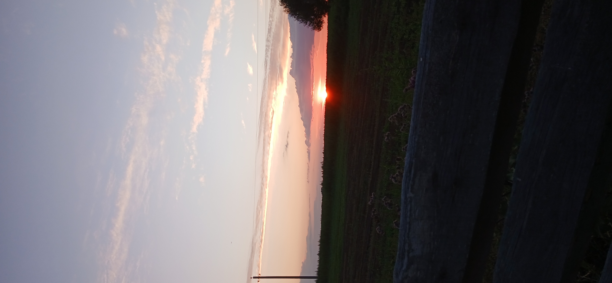 A vertical, medium shot captures a rural landscape at sunset. The foreground features a dark, wooden fence, its texture weathered and worn. Beyond the fence, a cultivated field stretches into the distance, marked by dark rows of soil. Scattered patches of dried, fluffy plants dot the field. A single utility pole stands on the left side of the frame, its wires extending horizontally across the sky. The sky transitions from a pale lavender near the top to soft pinks and oranges near the horizon, where the sun is setting. Wispy clouds drift across the sky, tinged with the colors of dusk. A silhouette of a tree is visible on the far right, against the vibrant sunset. The overall impression is one of peaceful tranquility as day transitions into night.