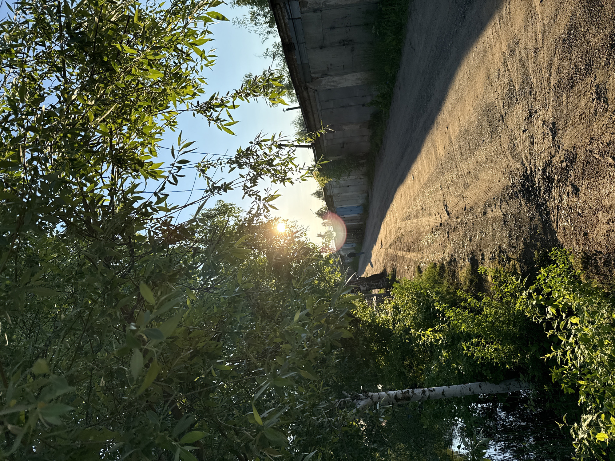The image depicts an outdoor scene at what appears to be either sunrise or sunset, characterized by warm, low-angle sunlight and distinct shadows. On the left side of the frame, dense green foliage from trees and bushes dominates, with the sun's rays peeking through the leaves and causing a prominent lens flare. A white-barked tree trunk, possibly a birch, is visible in the lower-left section amidst the greenery.
In the center of the image, an unpaved road or path made of dirt and gravel extends into the distance, displaying visible tire tracks. To the right, a long, low building with multiple sections, constructed from concrete or similar material, resembles a row of garages or storage units. This structure shows signs of age and wear, with some vegetation growing along its base. The sky, visible through gaps in the tree canopy, is clear and blue. There are no people, animals, or visible text present in the scene.