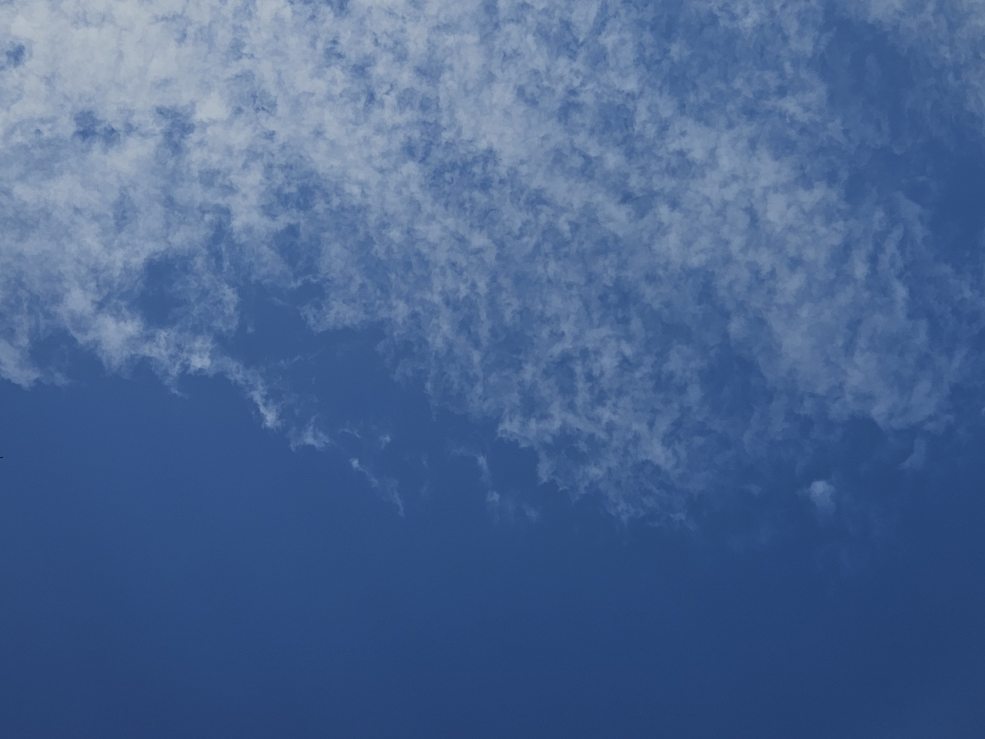 The image displays a clear, deep blue sky with a wispy scattering of white clouds. The clouds are concentrated on the right side of the frame, appearing thin and textured, suggesting a bright, possibly sunny day. The left side of the image is a solid expanse of blue, indicating an unobstructed view of the sky. There are no people, structures, or discernible landmarks visible, making it impossible to determine any specific location, including Chaikovsky, Russia. The scene is purely atmospheric.