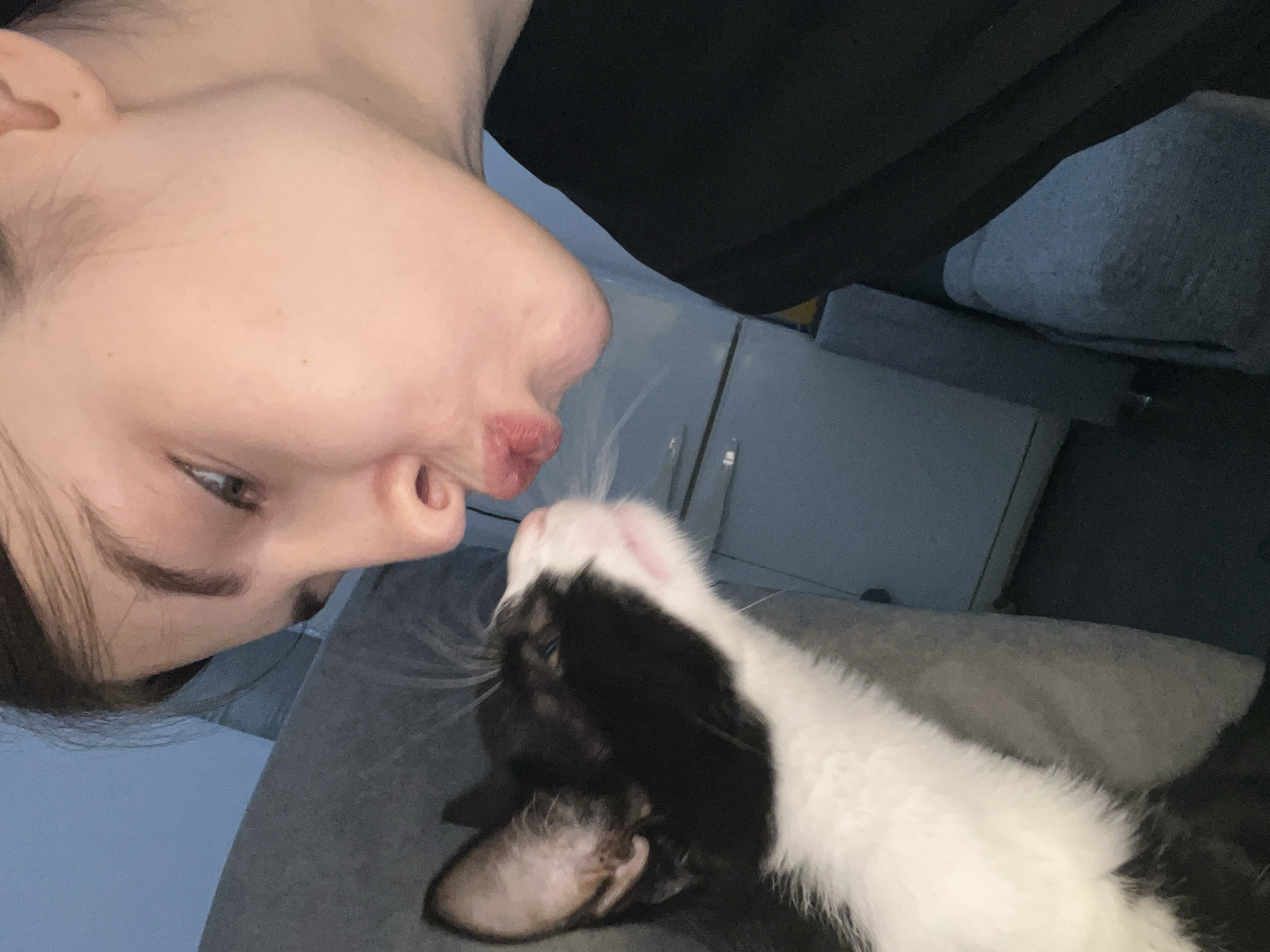 A person and a black and white cat are the main subjects in this selfie-style image. The person, fair-skinned, is positioned to the left, tilting their head to meet the cat. Their lips are slightly pursed, as if attempting to give the cat a kiss. The cat, mainly black with white markings on its head and chest, is oriented upwards, appearing to look at the person's face. The background consists of a gray surface, likely furniture, and indistinct darker shapes that could be other furniture or parts of a room. The location within Saint Petersburg, Russia, cannot be determined from the visual information in the image.