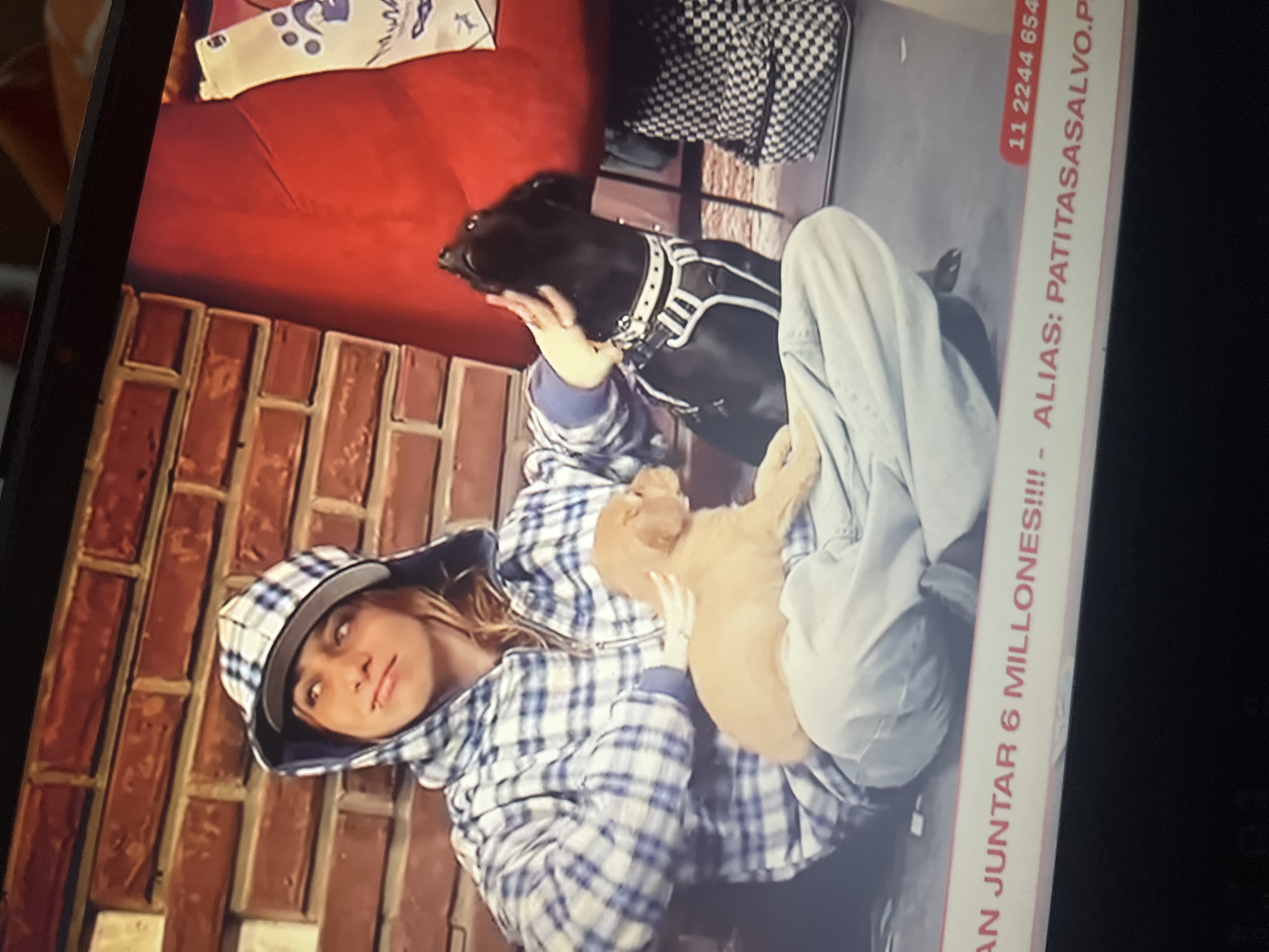 In Santa Ana, Venezuela, a person wearing a checkered hoodie and a baseball cap is sitting down, holding a small golden puppy on their lap. The person is interacting with the puppy, petting it. To their right, a black dog is looking upwards, also being petted by the person. The background features a brick wall and a red armchair. A checkered backpack is visible on the floor to the right. A red and white banner at the bottom displays text and a phone number.