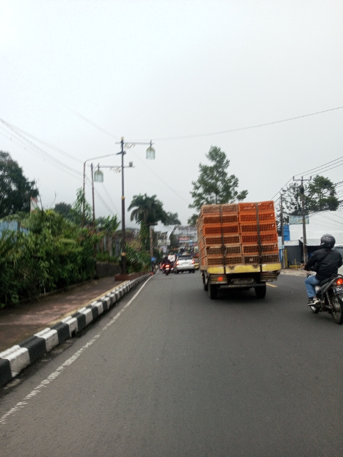 This image portrays a street scene in Chagzam_Pam, Bhutan, under an overcast sky. A paved asphalt road, bordered by a black-and-white checkered curb on the left, extends into the background. Behind the curb, dense green foliage and trees line the roadside. Two ornate street light poles with dual lanterns are visible on the left. In the midground, a light-colored truck travels forward, its flatbed heavily laden with multiple vertical stacks of orange plastic crates. To the right of the truck, a lone individual wearing a dark helmet, dark jacket, and blue jeans rides a dark motorcycle, positioned slightly to the right of the truck's rear. Further down the road, additional vehicles, including at least one white car, are visible in traffic. Utility poles with overhead wires are present on both sides of the upper frame, and indistinct buildings line the street in the distance.