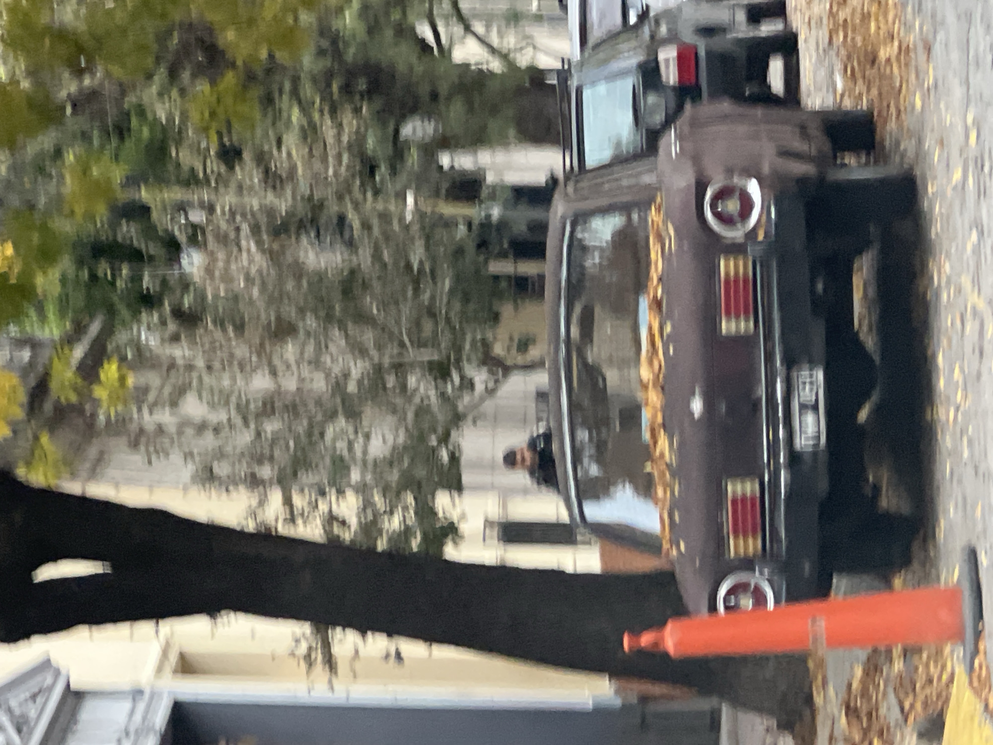 The image depicts a street scene in Buenos Aires, Argentina. A dark-colored vintage car, possibly a Ford Falcon, is parked on the right side of the street. Fallen leaves are scattered on the vehicle and the pavement. Behind the car, another vehicle is partially visible. A person is seen indistinctly inside the car. In the foreground, an orange traffic cone is placed next to the parked car. A large tree with bare branches is located on the left side of the frame, partially obscuring a building facade. The overall lighting suggests a cloudy or overcast day.