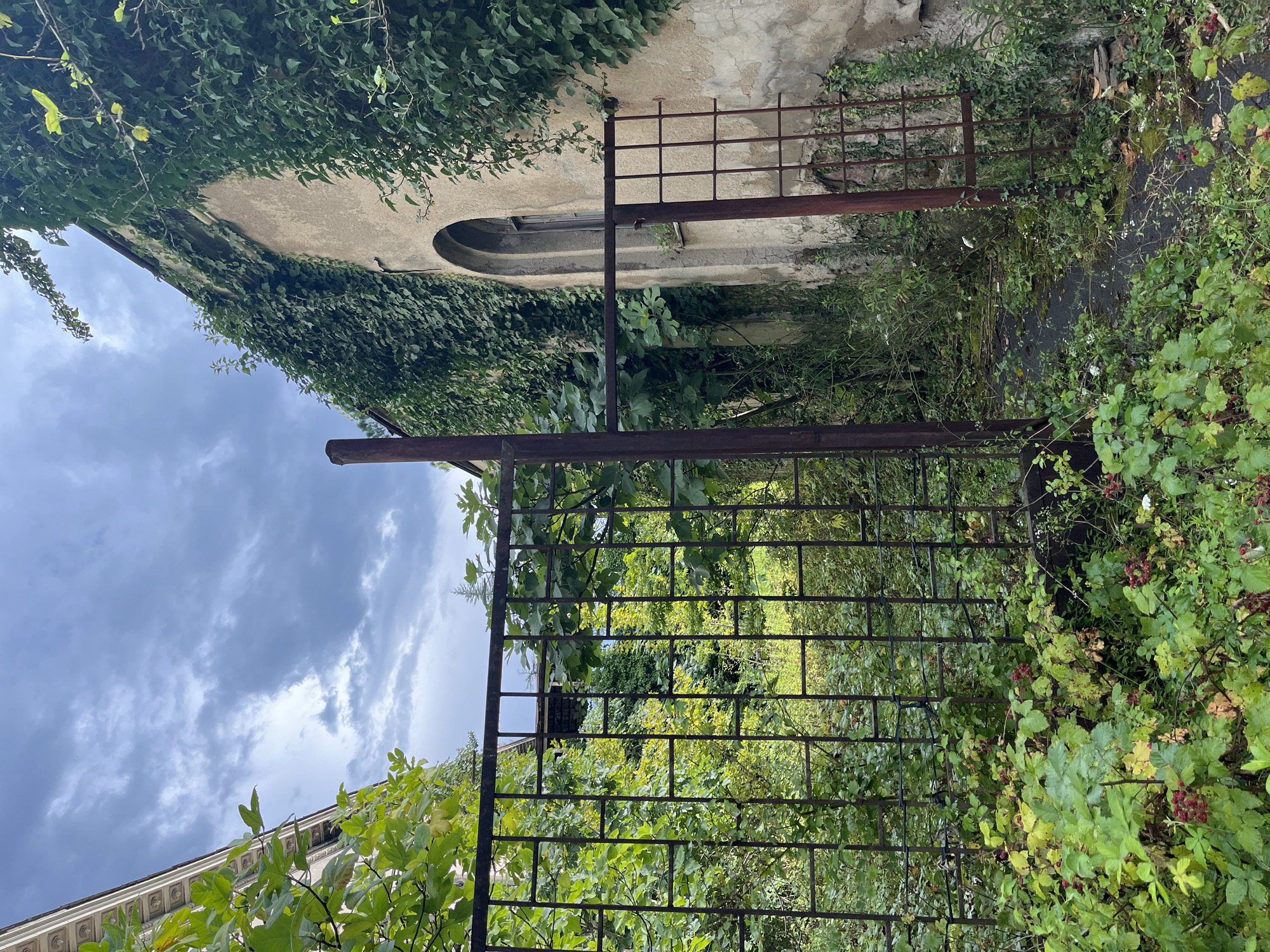 This is an eye-level, medium shot of an overgrown, abandoned area with a rusted metal gate in the foreground. The gate is partially open and separates the viewer from a lush, green area filled with trees and plants, some bearing red berries. To the right of the gate is a weathered, tan-colored building covered in ivy, with an arched window visible. The sky above is cloudy with a mix of gray and white. The scene appears to be located in Tskaltubo, Georgia, likely an abandoned property.