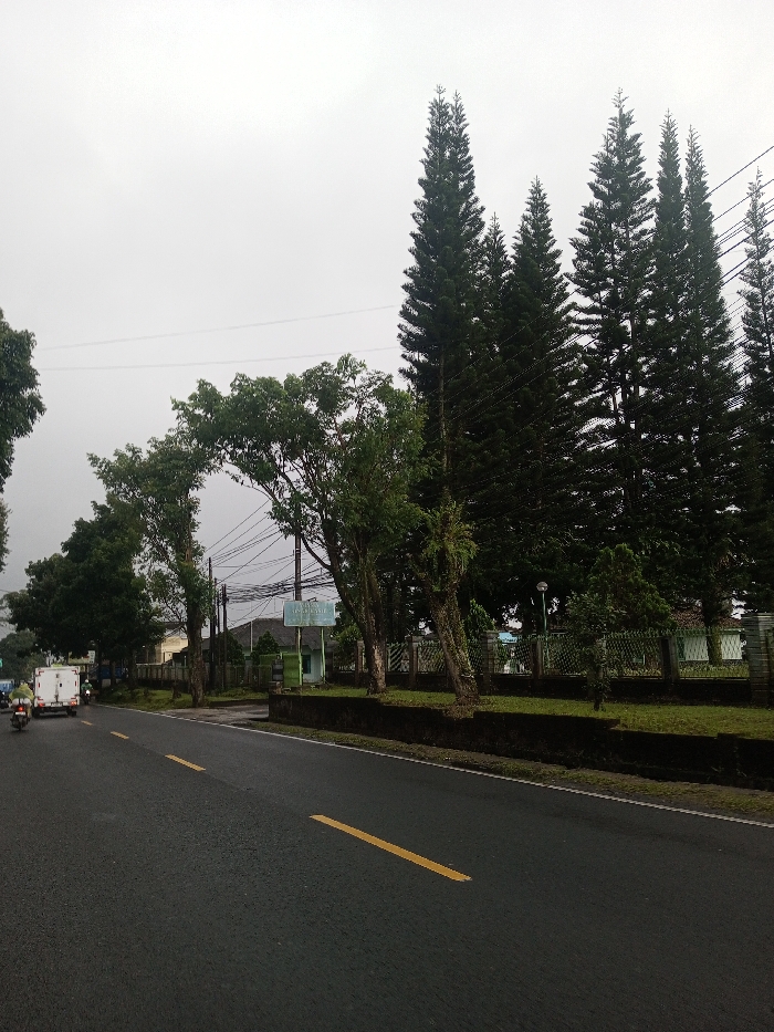 An asphalt road stretches into the distance under a gray sky. A yellow line marks the road's center. To the left, trees with green foliage line the roadside. On the right, a stone border separates the road from a grassy area with evergreen trees. A building with a sign is visible behind the trees. A van and motorcycle travel along the road in the distance. Power lines cut across the sky.