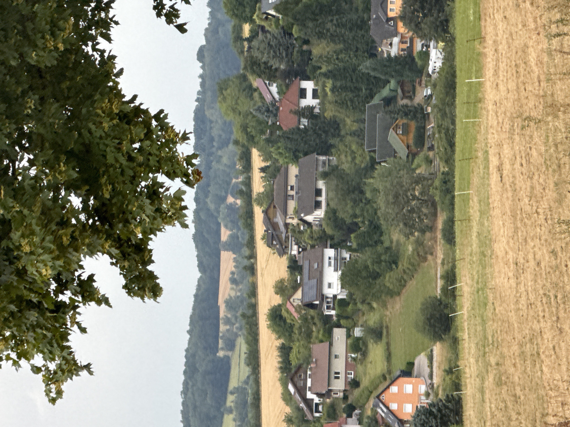 The image depicts a scenic view of a rural residential area in Bad Sachsa, Germany, with houses nestled amongst rolling hills and trees. The foreground features a dry, yellow field divided by a white wire fence. Behind the field, a cluster of houses is visible, varying in architectural style and color. Some houses have red or brown roofs, while others feature solar panels. The houses are surrounded by lush green trees and well-maintained yards. In the background, more rolling hills covered in dense green forests can be seen, with a band of golden farmland stretching across the middle ground. The sky is overcast and a large tree with green leaves partially obscures the top of the image. No people are visible in the frame.