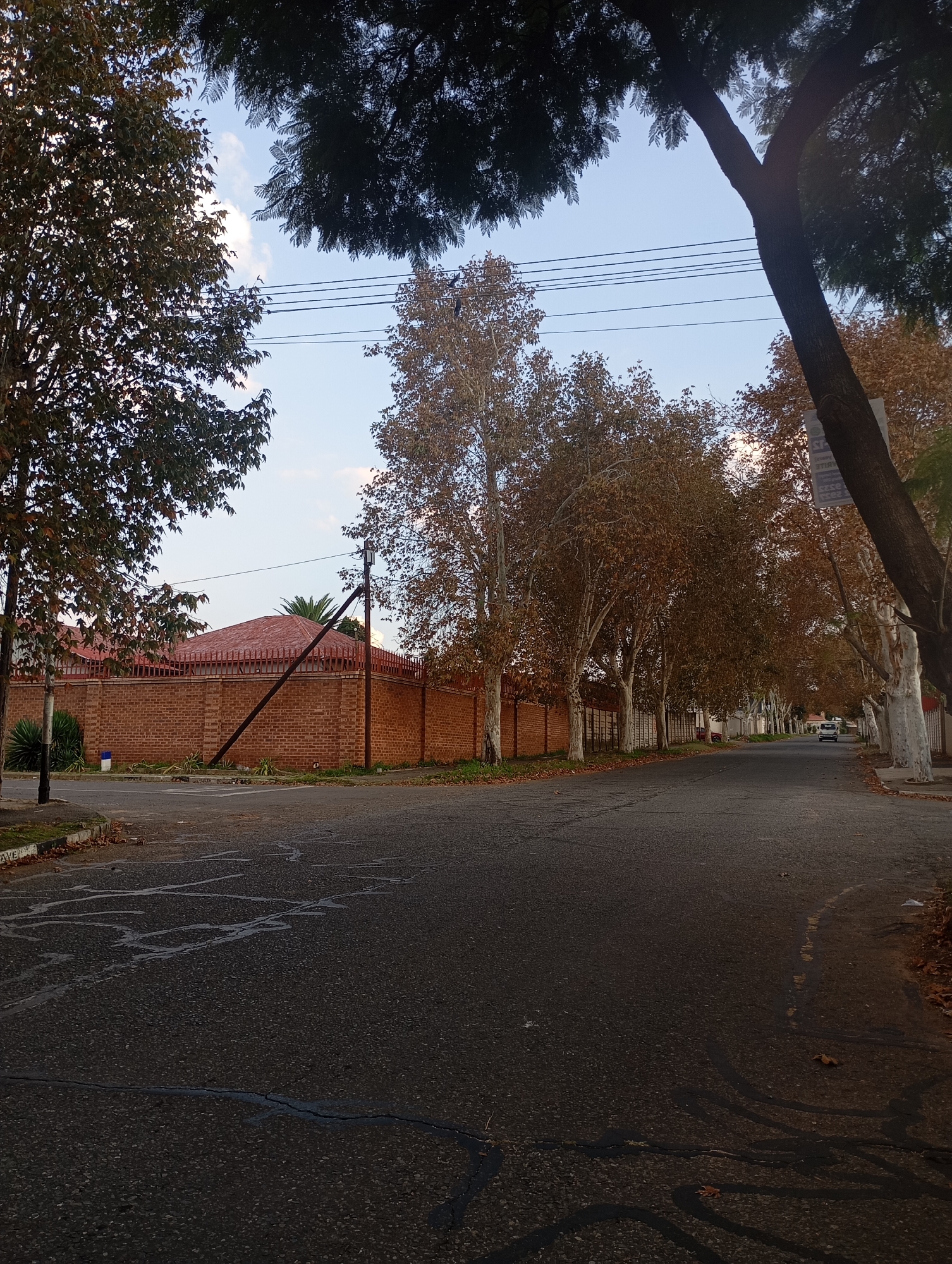The image depicts a street scene in Johannesburg, South Africa. The road is paved with asphalt and shows signs of wear and tear. On the left side of the road is a high brick wall topped with a metal fence, suggesting a residential property. An angled utility pole is leaning against the wall. Deciduous trees line both sides of the street, with foliage in muted autumn colors. The tree trunks on the right side appear to be painted white at the base. Overhead, electrical wires stretch across the sky. In the distance, a light-colored vehicle is visible on the road. The sky is partially cloudy.