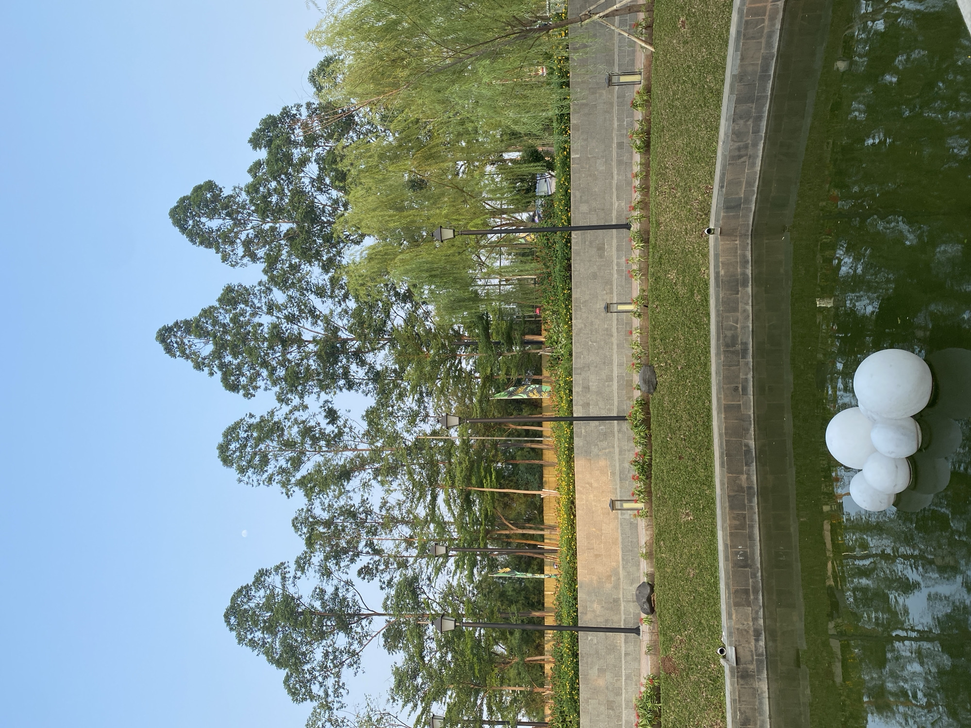 The image depicts a serene outdoor scene, likely a park or garden area, with a clear blue sky and a crescent moon visible in the upper left quadrant. The setting features a paved pathway lined with lush green grass and ornamental plants. Tall trees with dense foliage create a natural canopy, interspersed with lampposts that suggest the area is also functional at night.
To the right of the pathway, a water feature, possibly a pond or fountain, is present. The water is a deep green hue, reflecting the surrounding trees and sky. Floating on the surface of the water are several white spherical objects, appearing to be decorative lights or buoys. The edge of the water feature is bordered by stone.
The time of day appears to be late afternoon or early evening, judging by the soft lighting and the presence of the moon. The weather seems clear and pleasant, conducive for an outdoor setting. There is no visible text in the image. The overall mood is tranquil and peaceful, emphasizing the natural beauty of the landscape. The location context of East Jakarta, Indonesia, suggests a tropical or subtropical climate, which aligns with the verdant greenery and tall trees seen in the image.