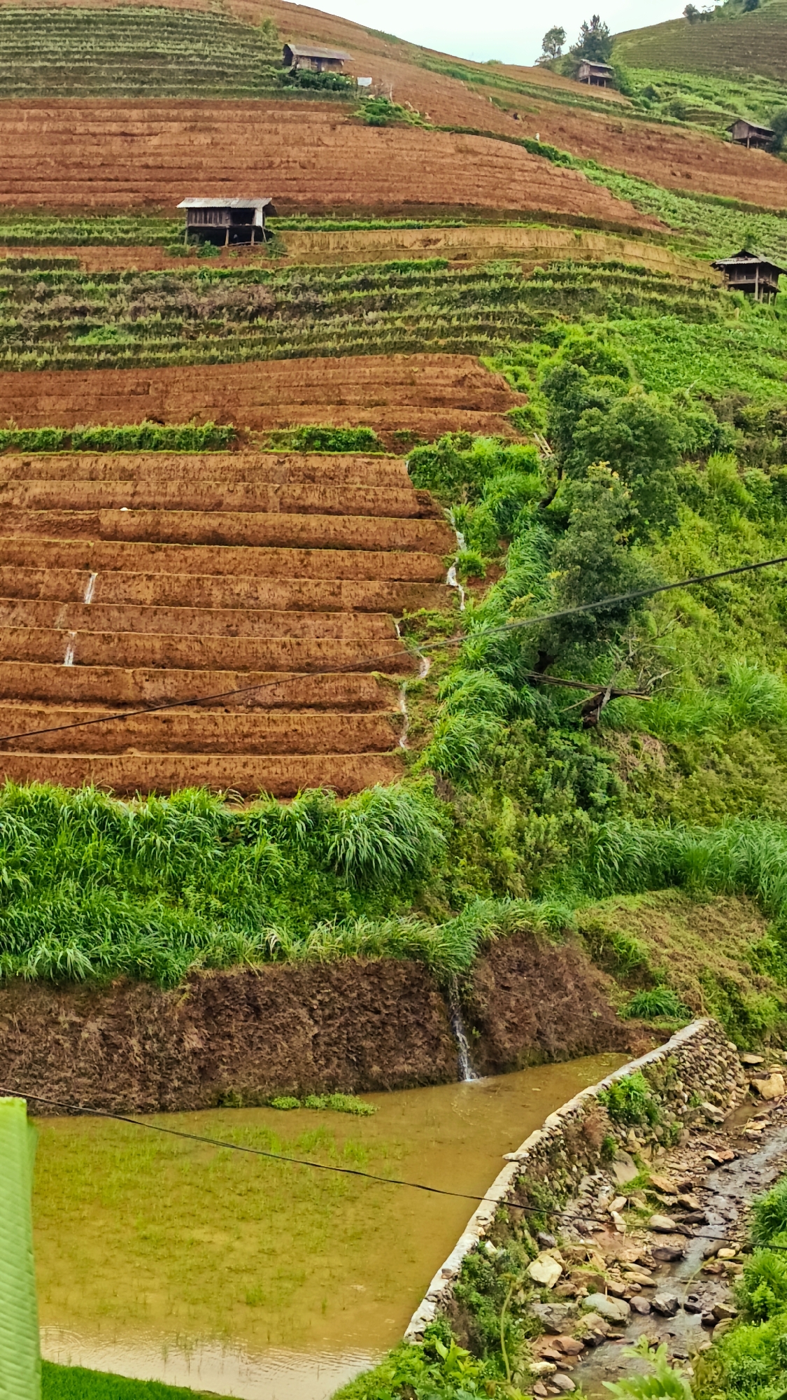 This detailed image depicts an expansive terraced agricultural landscape located in Dế Xu Phình, Vietnam. The scene is dominated by a steep hillside intricately carved into numerous horizontal terraces, extending from the mid-ground upwards towards a light, overcast sky.
The terraces exhibit varying states of cultivation; some are exposed reddish-brown earth, indicating recent tilling, while others are covered in vibrant green vegetation, likely young crops or natural growth. Multiple small, rustic structures, presumably houses or shelters, are strategically placed on different terraces across the hillside. One prominent, elevated wooden house with a dark roof is visible on a mid-level terrace on the left, with at least three other similar structures discernible further up and to the right on higher terraces.
In the mid-section, several narrow streams of water are observed cascading down the vertical faces of the terraced steps on the left, suggesting an irrigation system or natural runoff. A dark, horizontal power or communication line stretches across the mid-ground, bisecting the image. Lush green foliage, including dense grasses and trees, covers the uncultivated areas and borders the terraced fields on the right side of the slope.
The foreground on the left features a large, rectangular body of light greenish-yellow water, appearing to be a flooded rice paddy with nascent green shoots visible within it. This paddy is bounded by a steep, dark earthen embankment over which a small waterfall descends from the upper ground. To the right of the paddy, a narrow, rocky stream bed with clear, flowing water is contained by a neatly constructed stone retaining wall. Dense green foliage, including a large, broad leaf, partially obscures the extreme lower-left corner of the frame. No human figures or animals are present in the scene.