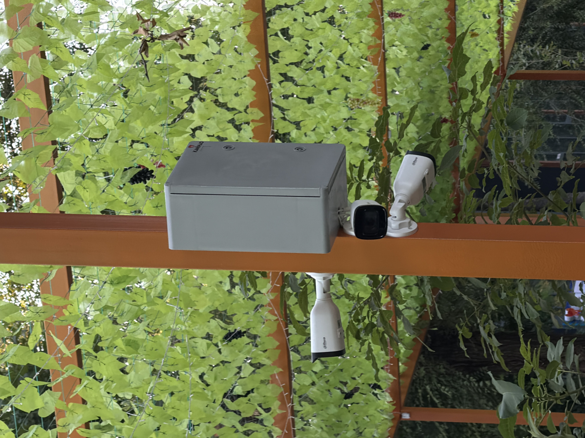 The image shows an outdoor scene with green foliage. A light grey electrical junction box is mounted on an orange beam. Two white security cameras are attached to the junction box. One camera is positioned to the right of the junction box, and another smaller black camera is attached below the first. The junction box has a label with the text "KANHAD" printed on it. The background consists of dense green leaves, possibly artificial, with some real branches interspersed. The lighting suggests it is daytime. The scene appears to be in an outdoor setting, possibly a garden or patio area, given the foliage and the mounting of the equipment. There are no people visible in the image.