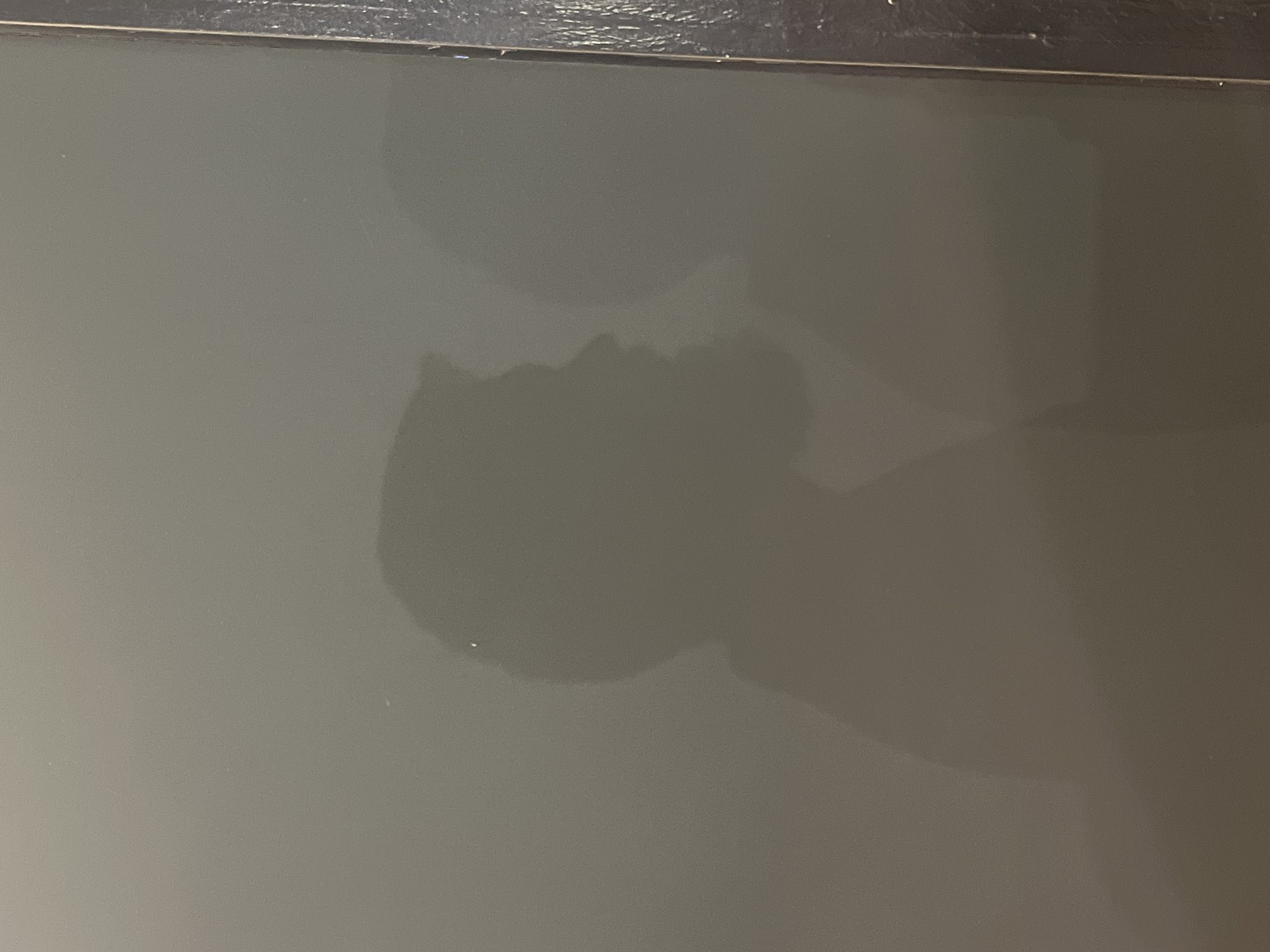 The image shows a close-up of a grey, reflective surface. The top of the frame includes a darker edge, possibly a frame or a boundary. The surface has irregular patterns that appear darker than the rest, suggesting moisture or residue. There are no identifiable people, subjects, objects, actions, interactions, or environmental clues present in the image to locate it in Puerto Rico, Spain.