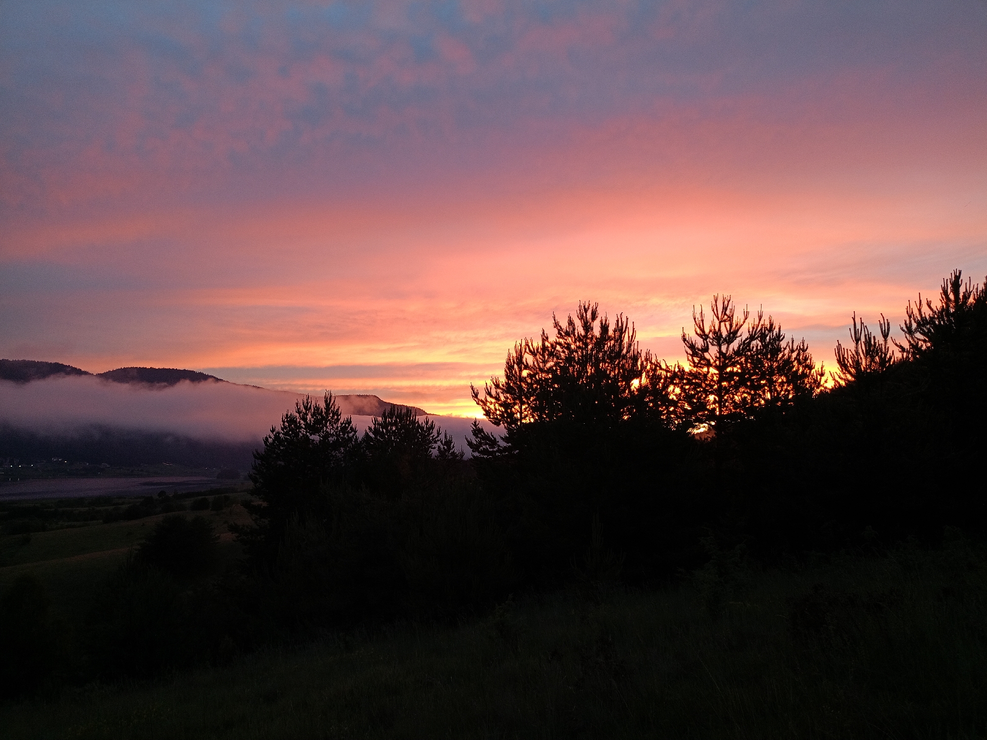 The image shows a landscape at sunset with the sky filled with vibrant colors of pink, orange, and blue. In the foreground, silhouetted trees and vegetation create a dark, shadowy layer. In the middle ground, rolling hills are visible, some of which are covered in dark trees. In the background, a range of mountains is shrouded in mist, with the last rays of sunlight illuminating the clouds around them. The scene is tranquil and serene, capturing the beauty of nature during twilight. The location is identified as Sarnitsa, Bulgaria.